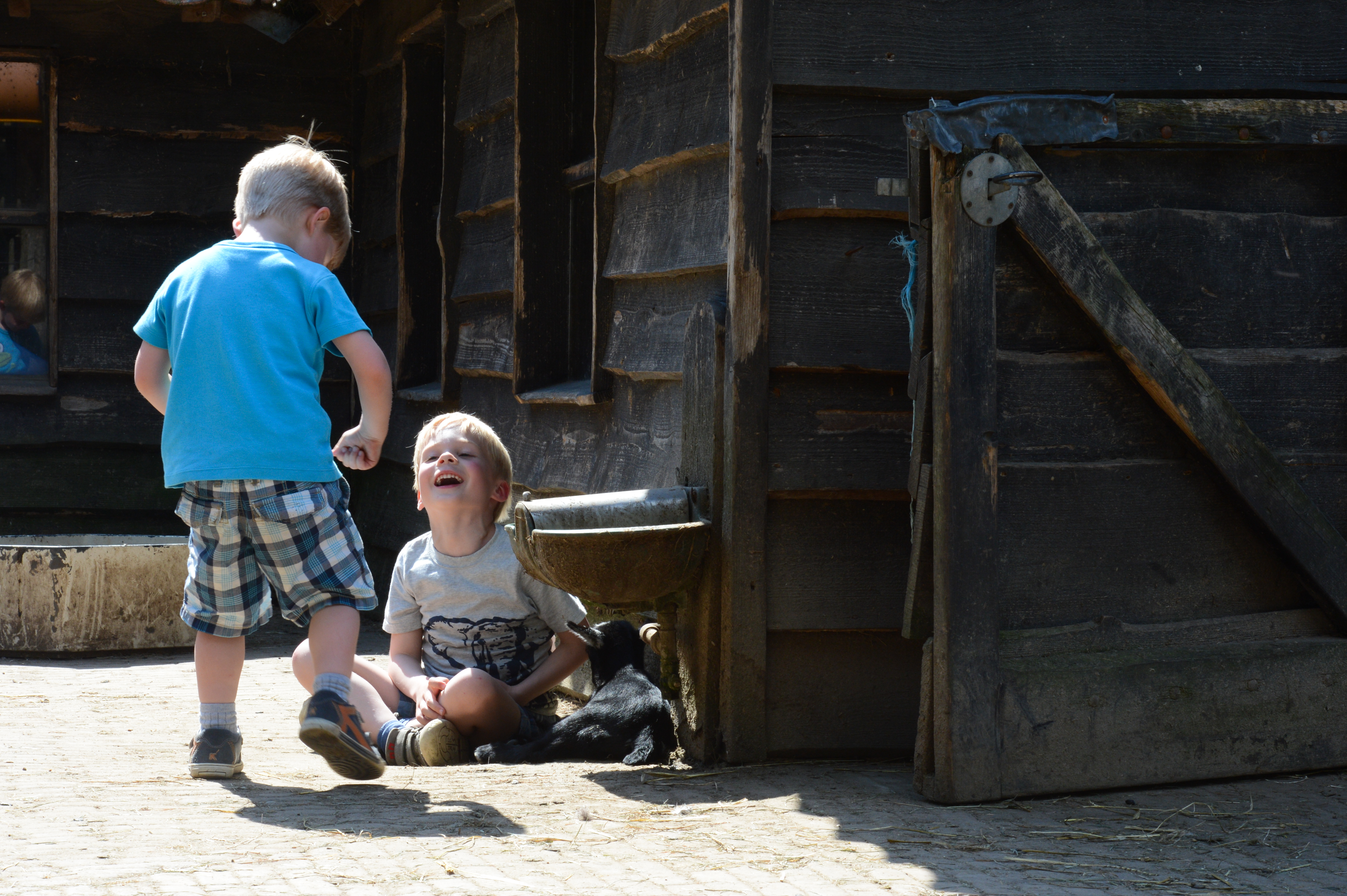 Two young children play near a wooden barn, one sitting and laughing while a small black goat rests nearby.