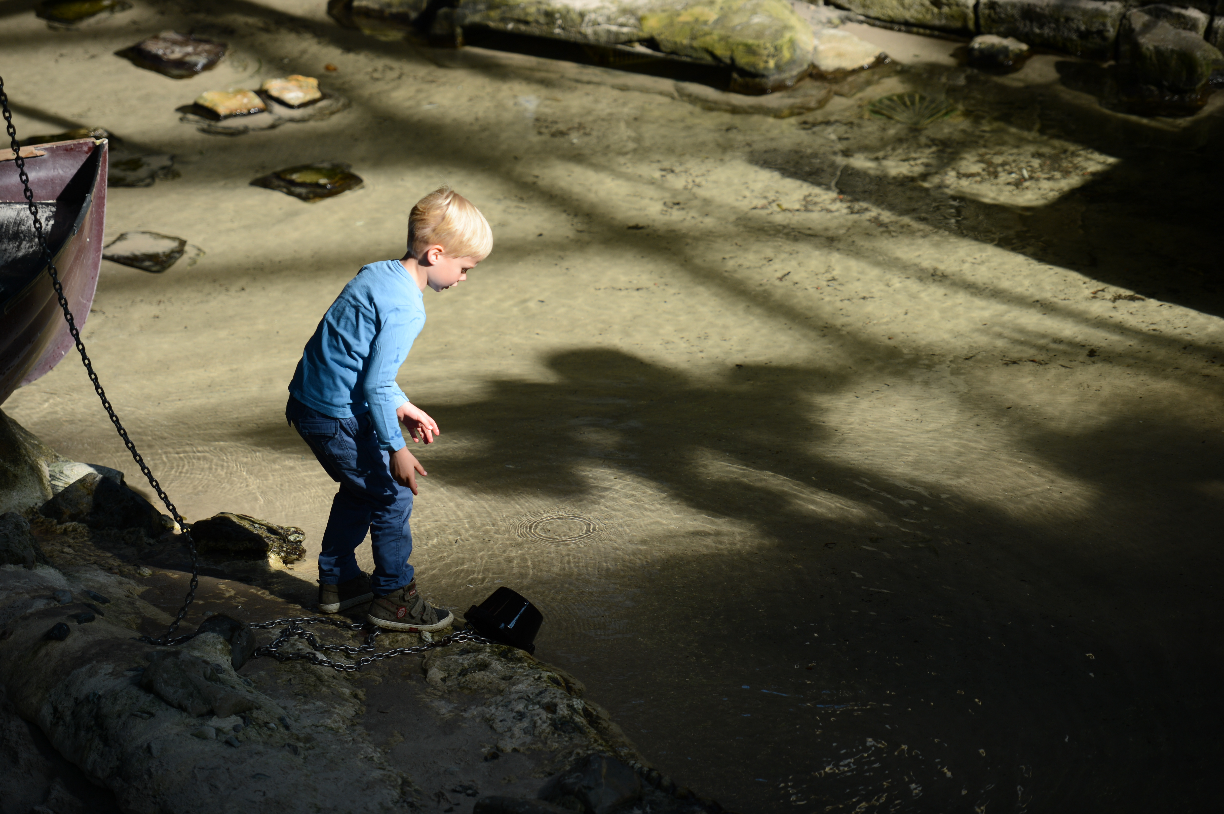 A young child in a blue shirt stands near shallow water, reaching towards a small black object.