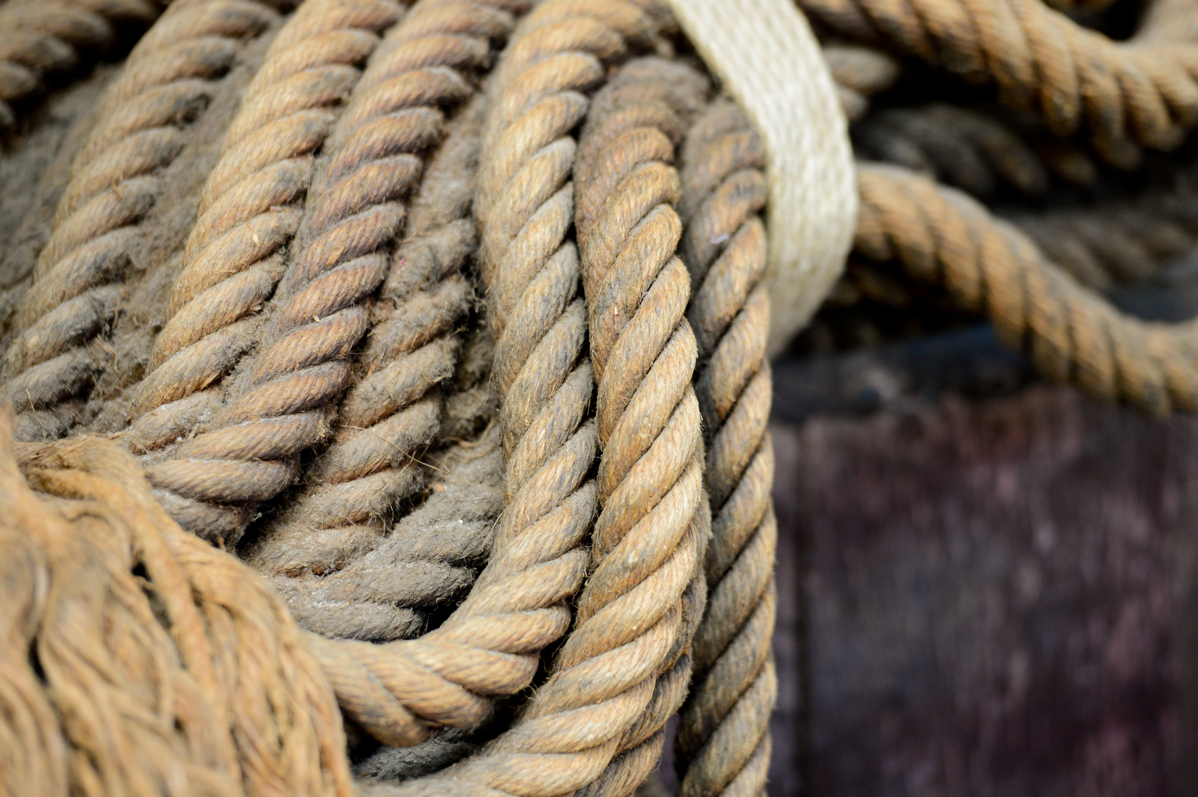 Close-up of thick, coiled ropes with a rough texture, some bound together with a lighter-colored strap.
