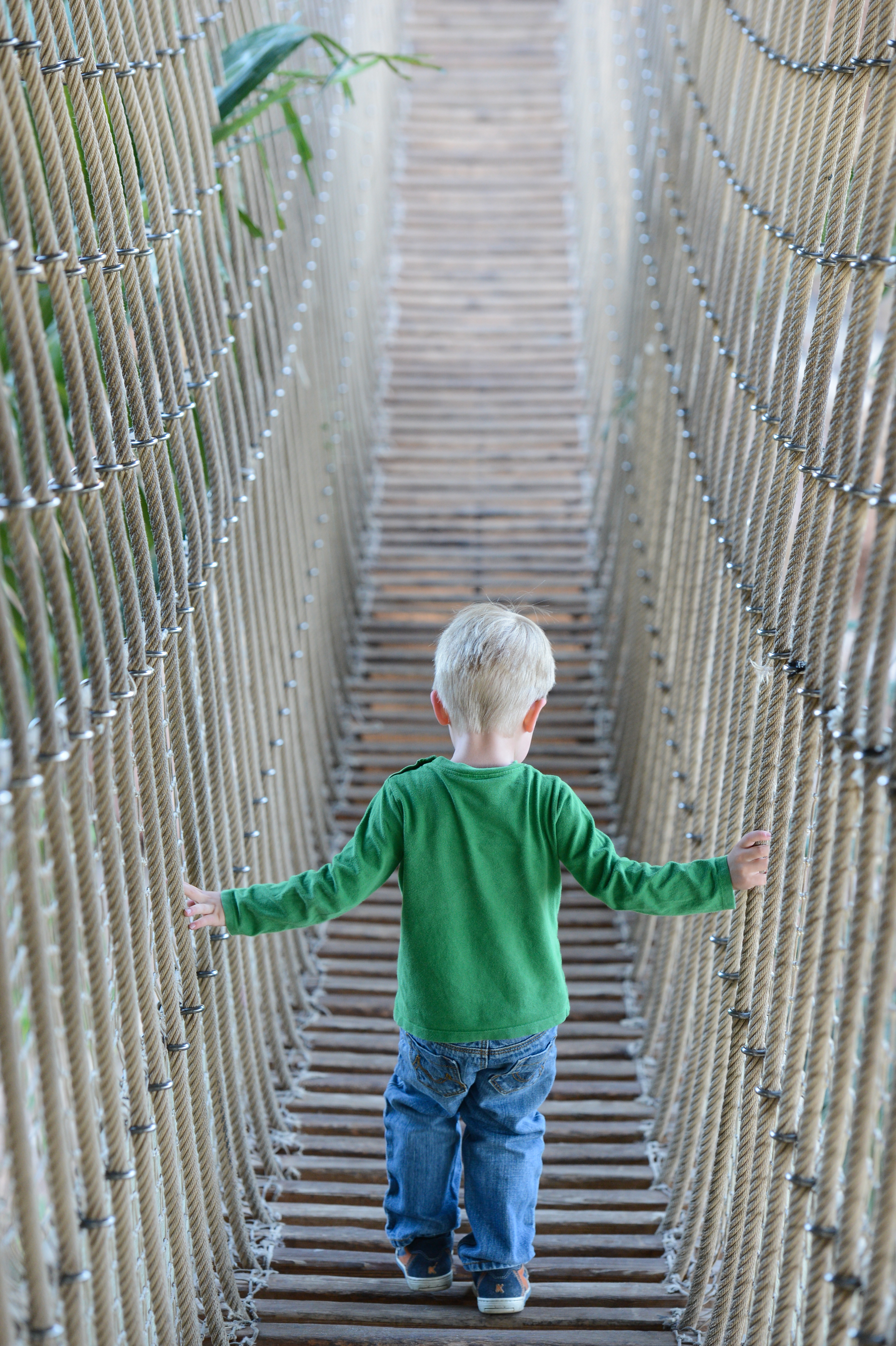 A young child in a green shirt walks across a rope bridge, holding onto the sides for balance.