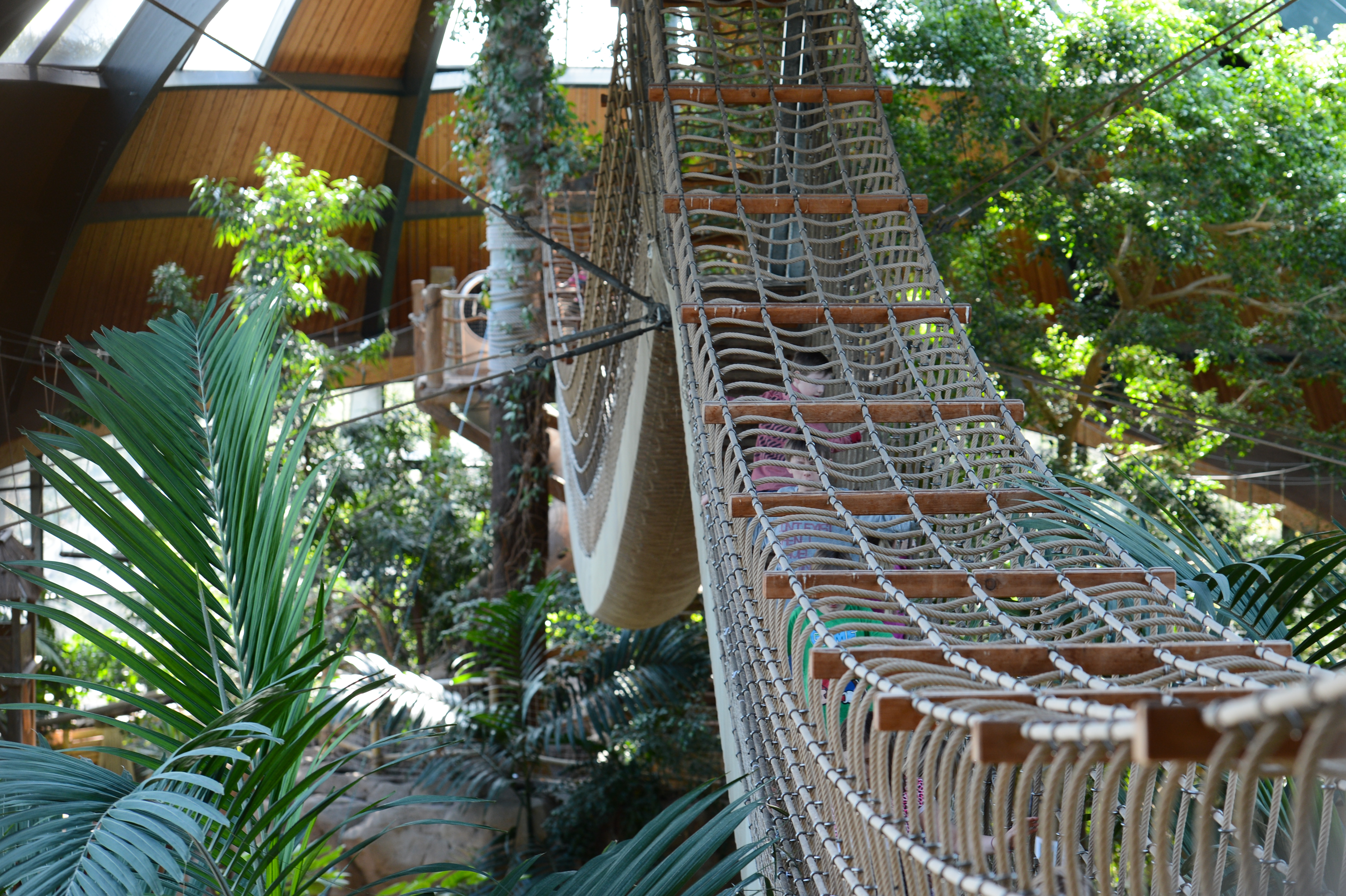 A large rope bridge stretches across an indoor tropical area with wooden beams and green plants.