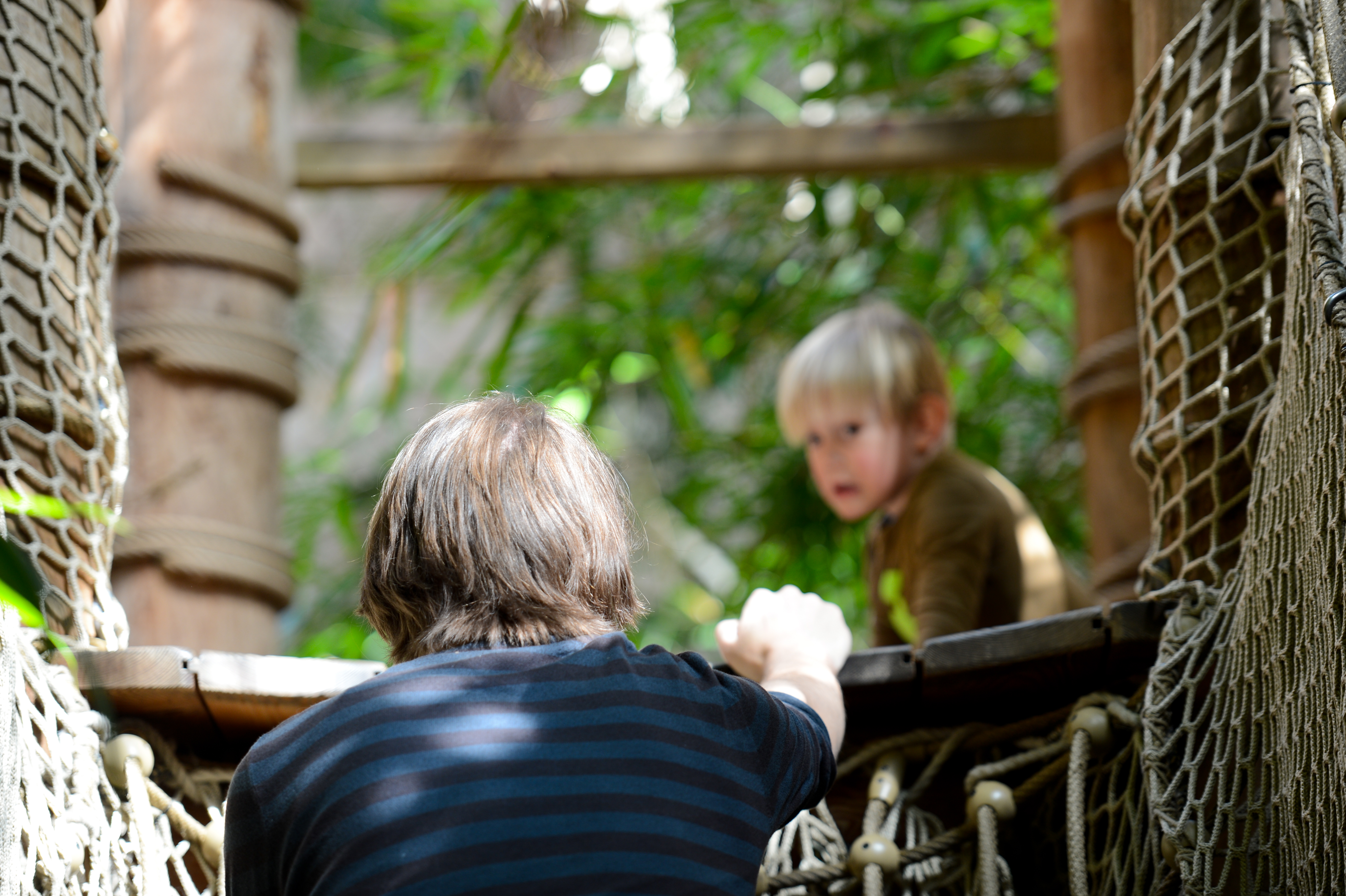 An adult reaches out to a young child on a rope bridge in an outdoor play area.