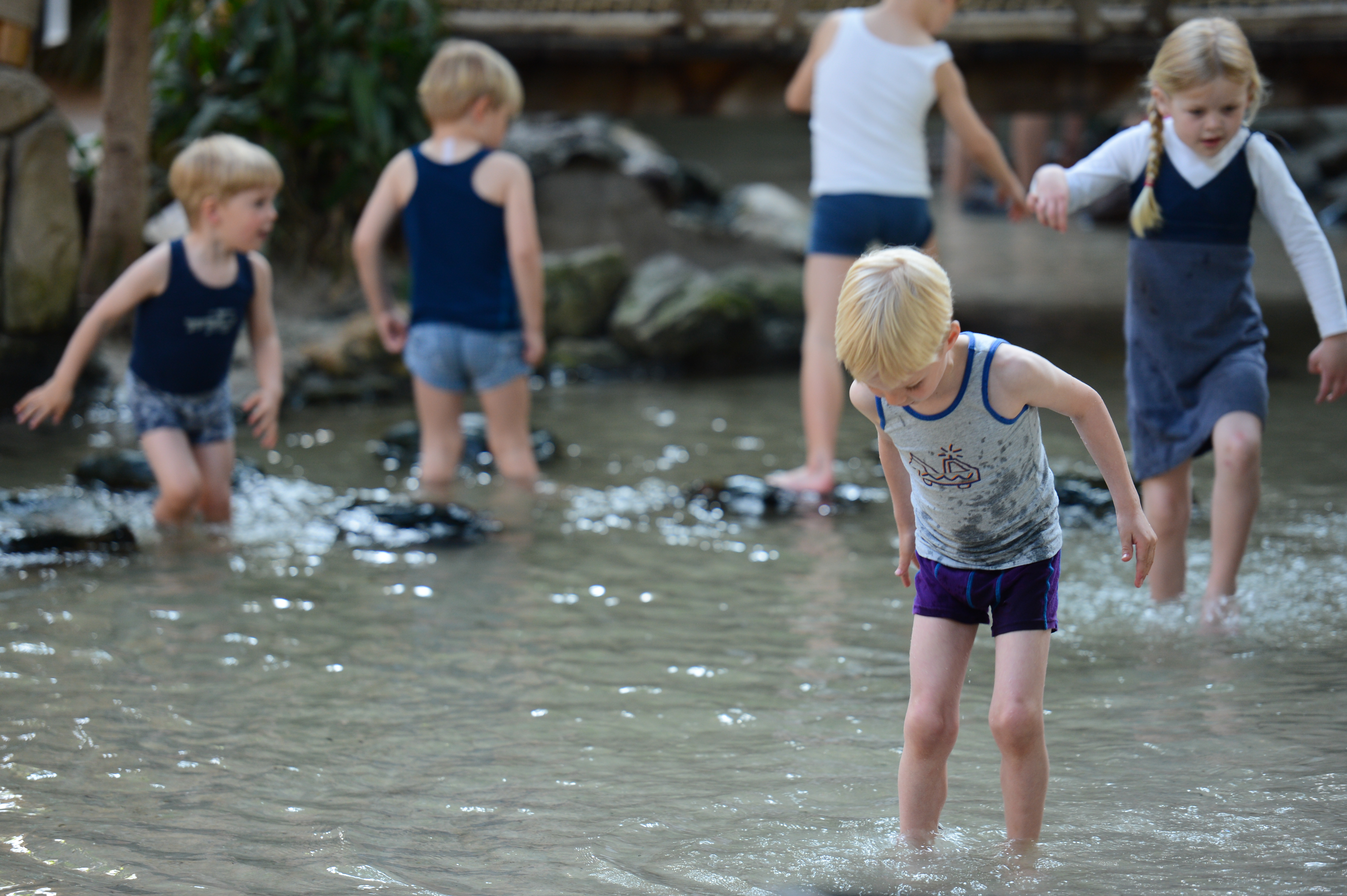 Children wade through shallow water, stepping on rocks and splashing as they play.