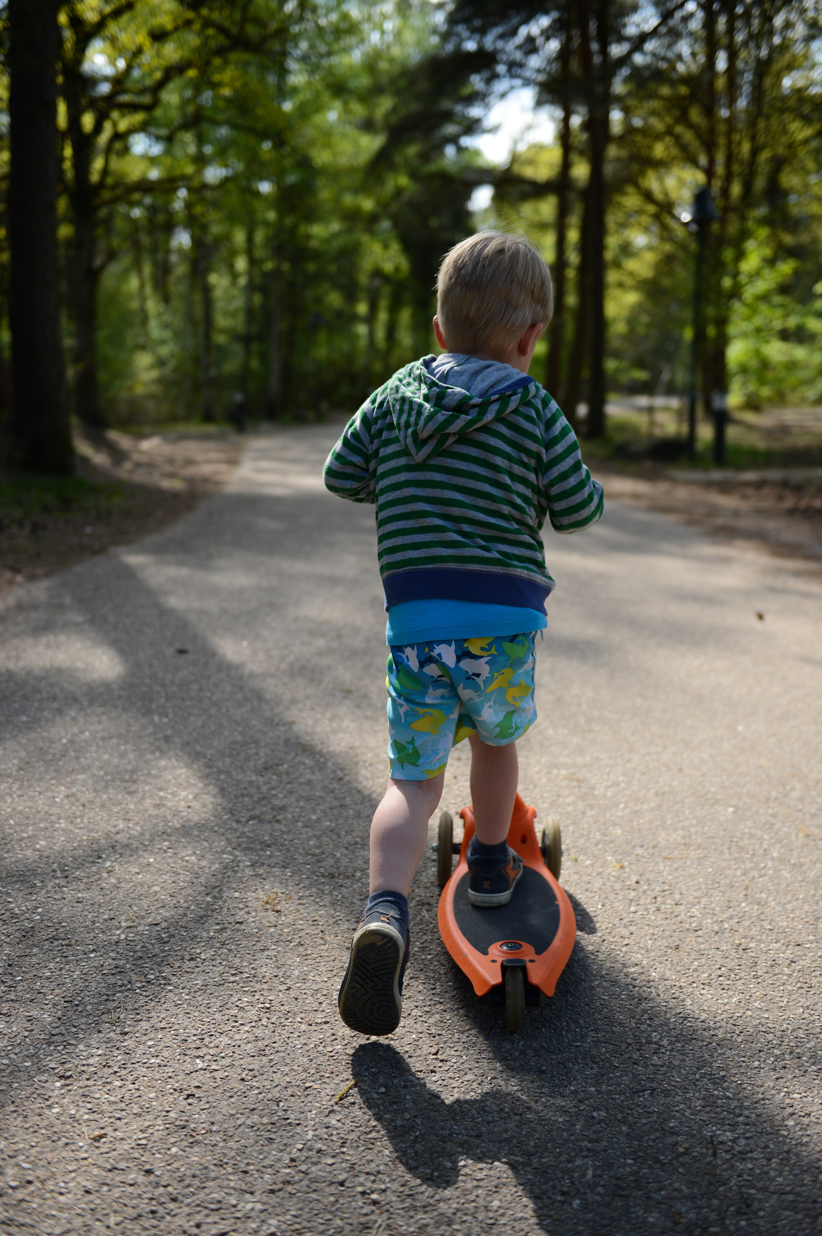 A young child rides an orange scooter on a paved path surrounded by trees.