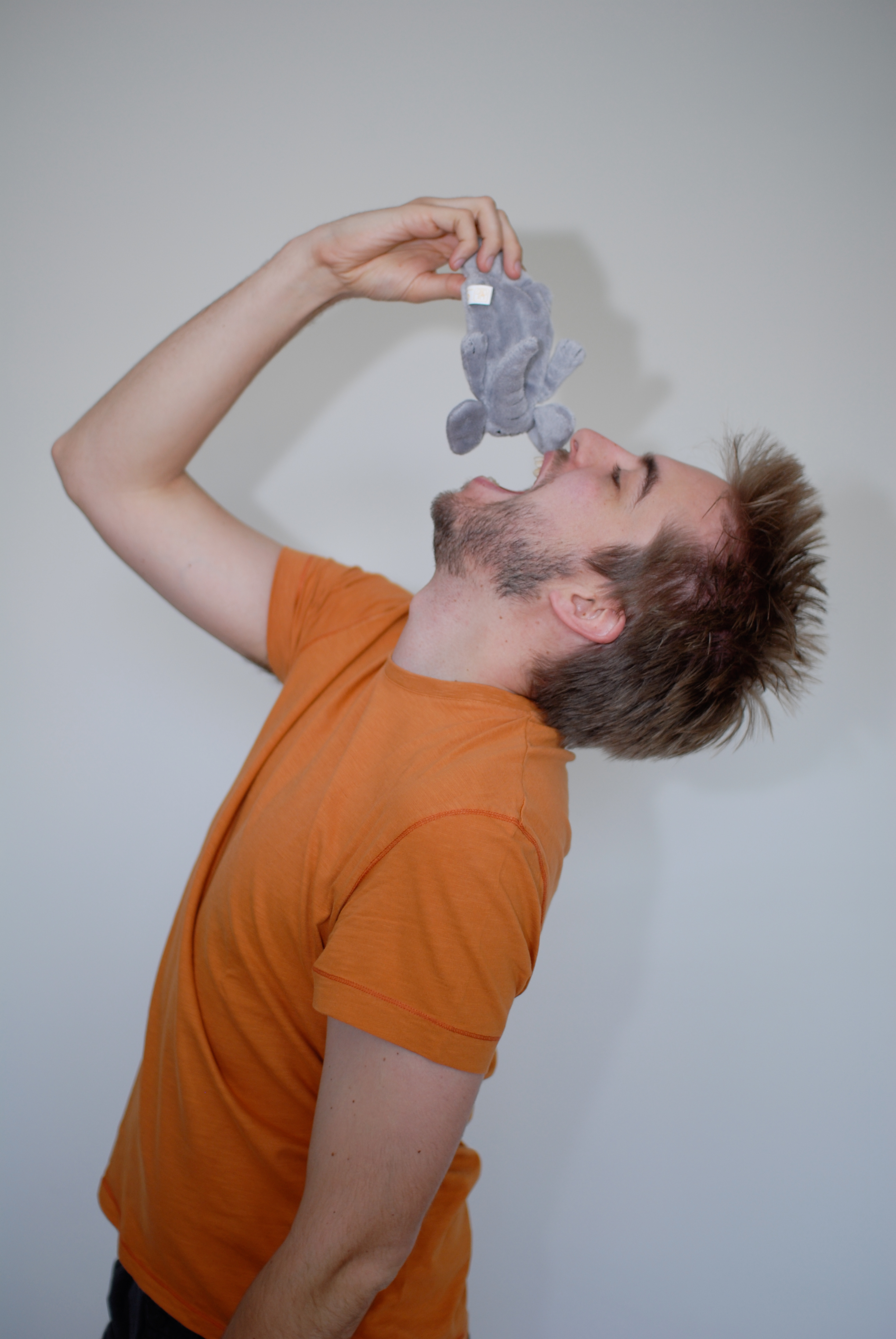 A man in an orange shirt playfully pretends to eat a small gray stuffed elephant.