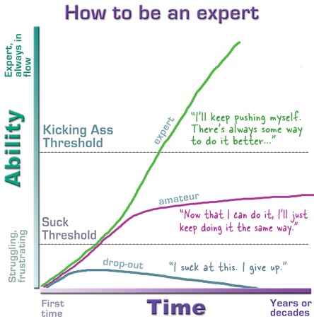 A graph showing three learning paths: drop-out, amateur, and expert, based on effort and persistence over time.