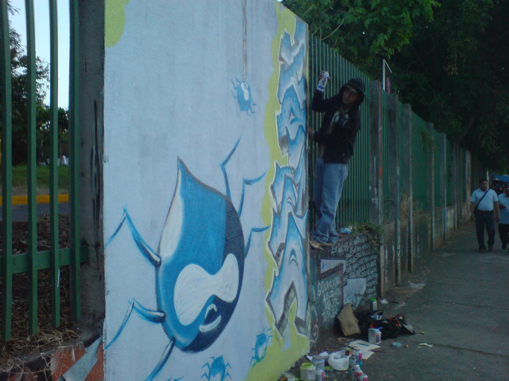 A person spray-paints graffiti on a wall, featuring the Druplicon logo and stylized lettering in blue and white.
