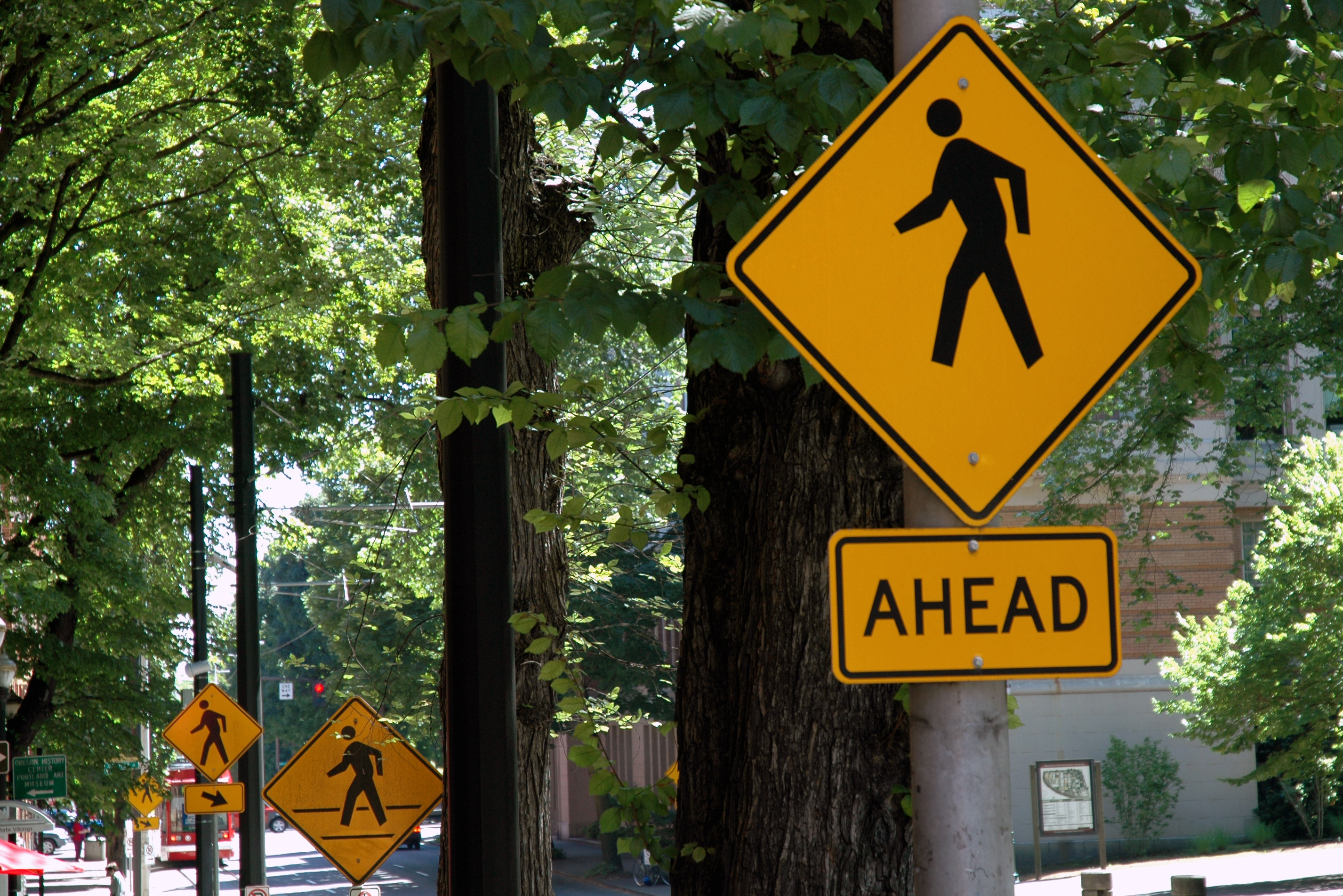 Multiple pedestrian crossing signs along a tree-lined street, with the closest sign reading "AHEAD" below a walking symbol.