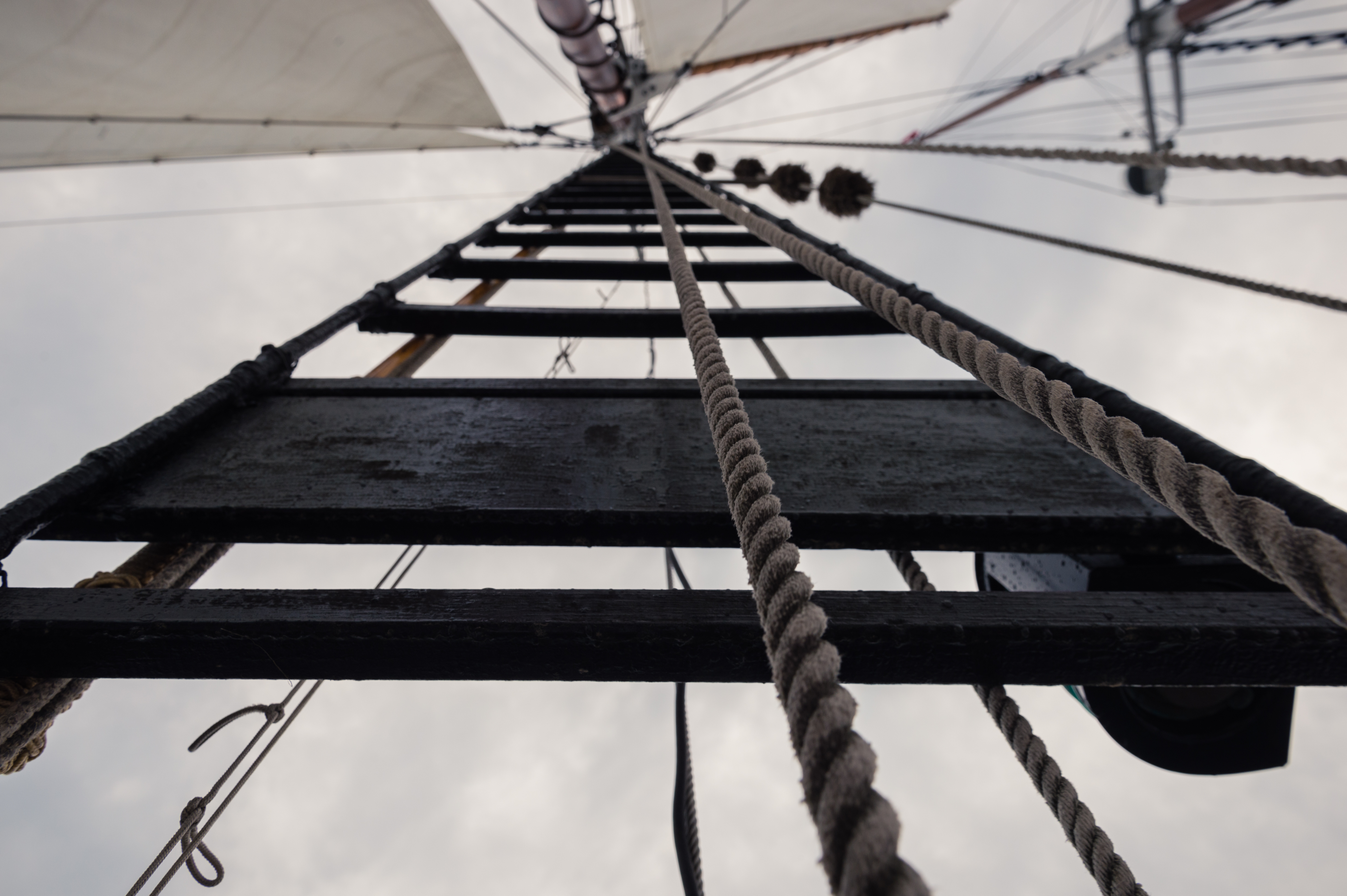 Looking up at a ship's rope ladder leading to the sails, with rigging and ropes extending upward.