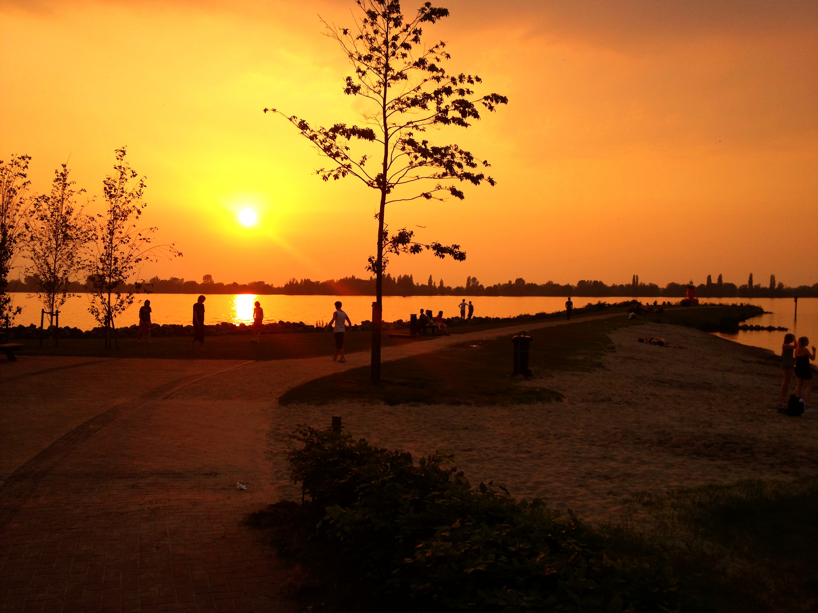 People walk and relax by a lake at sunset, with trees and a sandy shore in the foreground.