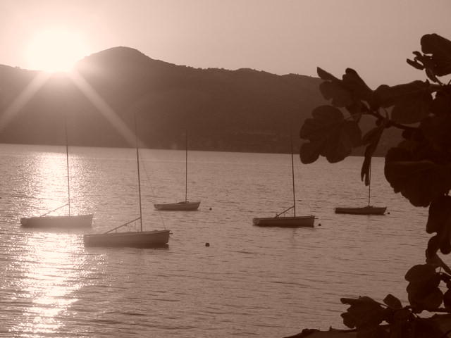 Five sailboats float on calm water with the sun setting behind distant hills.