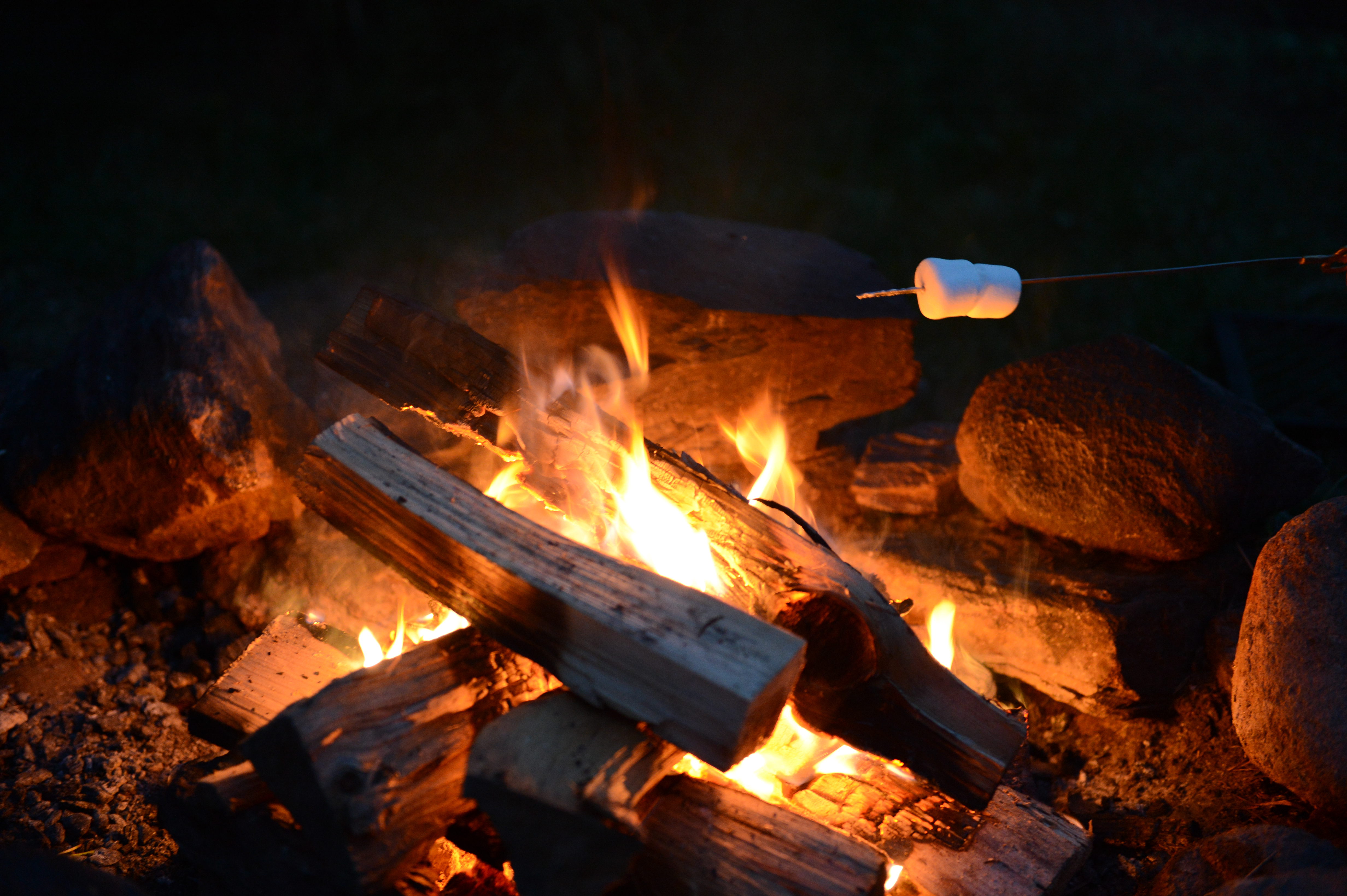 A marshmallow on a stick is being roasted over a campfire with burning logs and surrounding rocks.