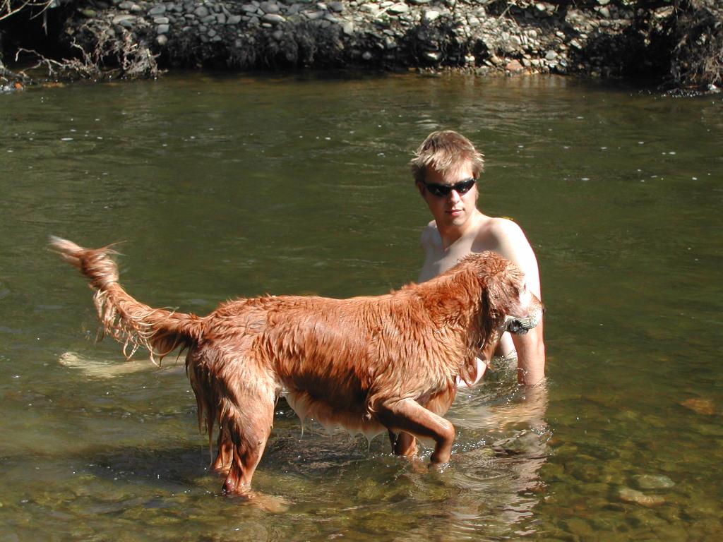 A man and a wet dog stand in a shallow river, with the dog holding something in its mouth.
