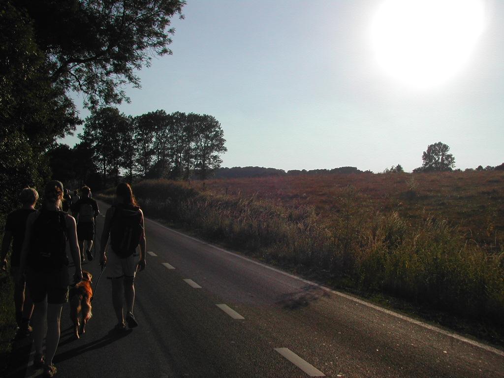 A group of people walks along a paved road with a dog, surrounded by trees and open fields.