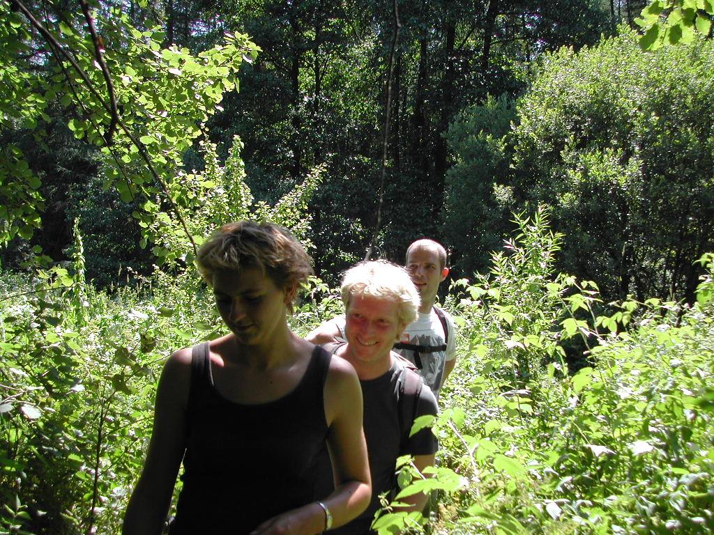 Three people walk along a narrow path surrounded by green plants and trees in a forest.