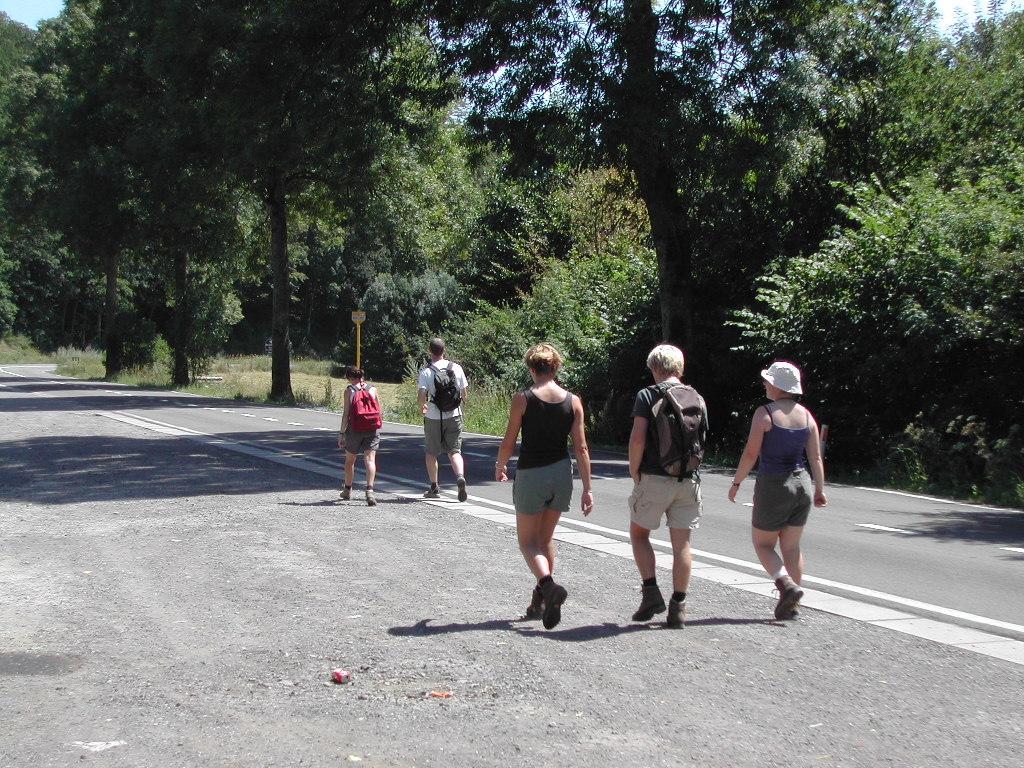 Five people with backpacks walk along a paved road surrounded by trees and greenery.