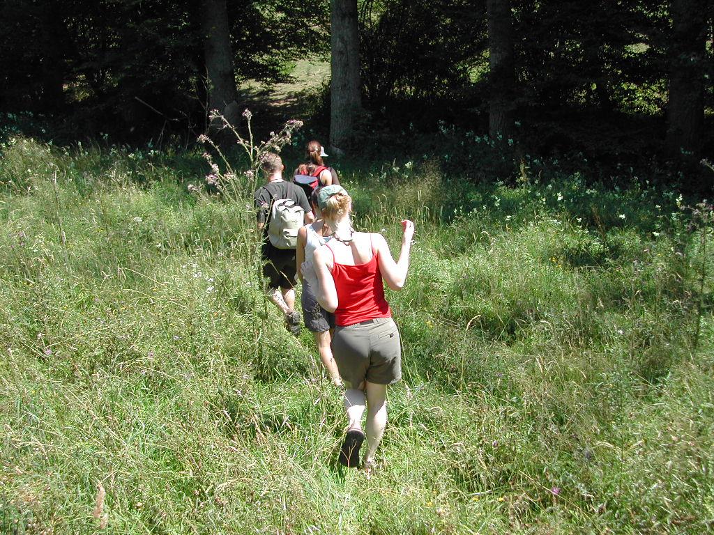 A group of people walks through a grassy field toward a wooded area, with one person wearing a backpack.