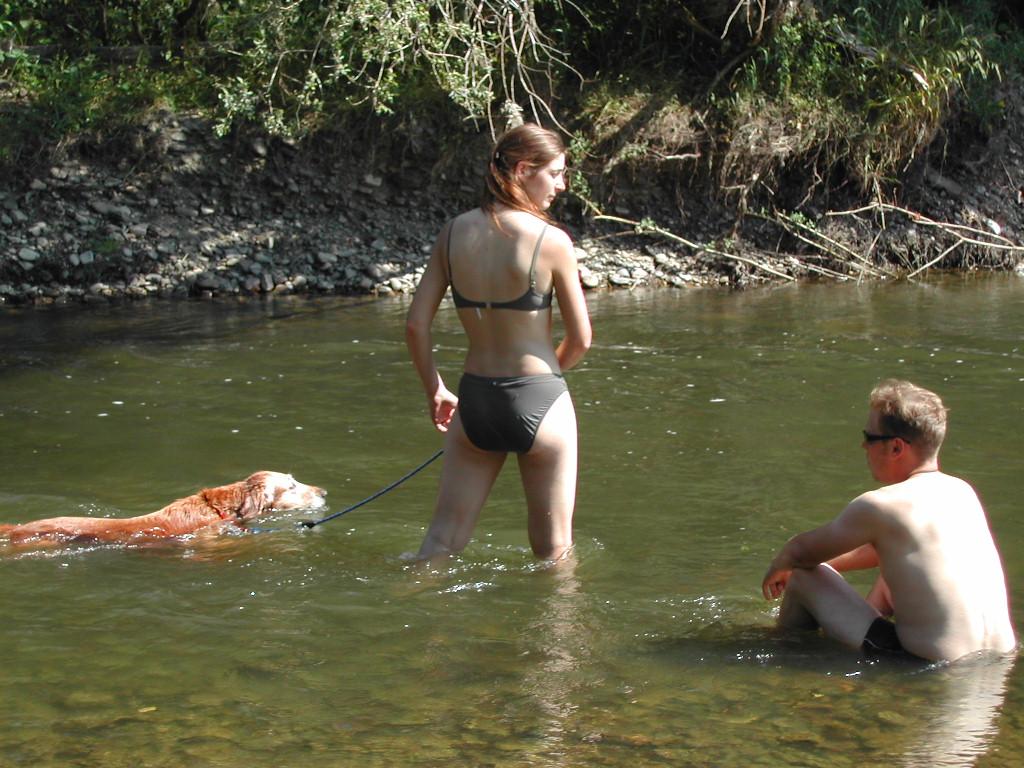 A woman in a swimsuit walks through shallow water holding a leash, while a dog swims and a man sits nearby.