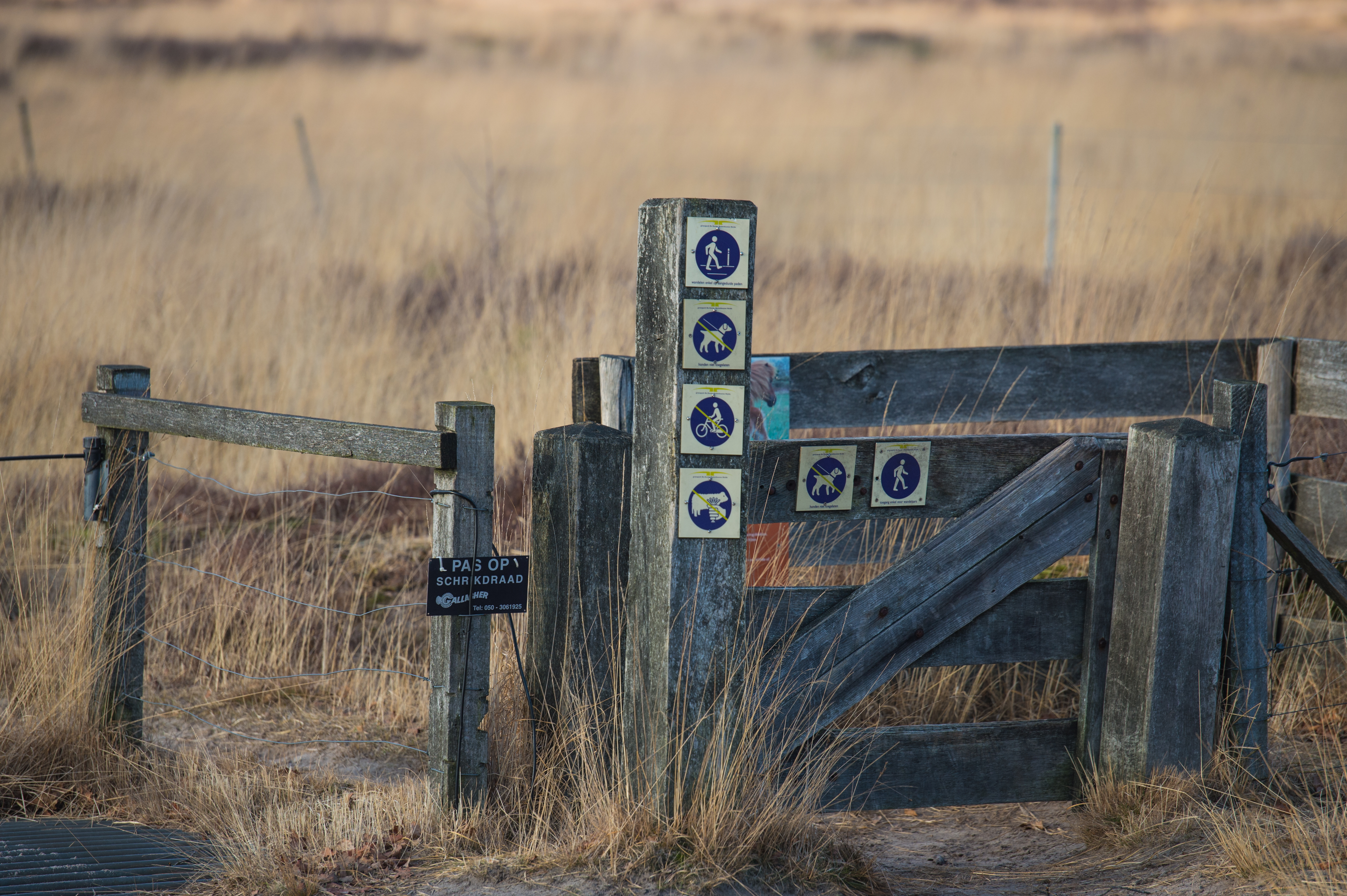 A wooden gate with multiple signs indicating walking, cycling, and dog rules, set in a grassy landscape.