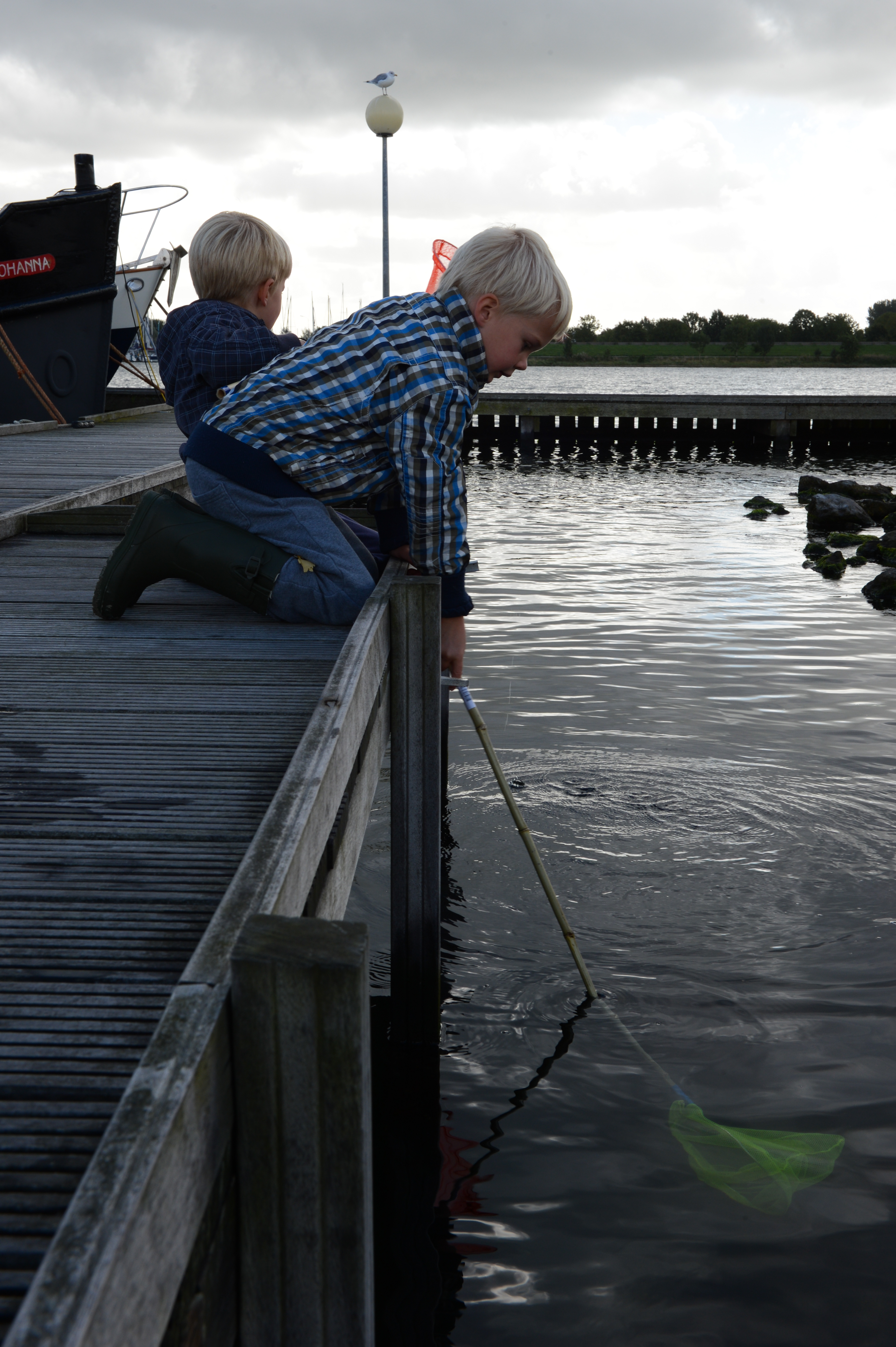 Two young boys on a wooden dock, one leaning over with a net in the water.