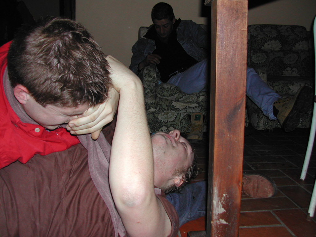 Two people playfully wrestle on the floor while another person sits on a couch in the background.