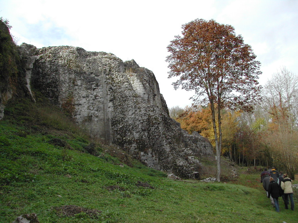 A group of people walks along a grassy path near an old stone ruin with trees in the background.