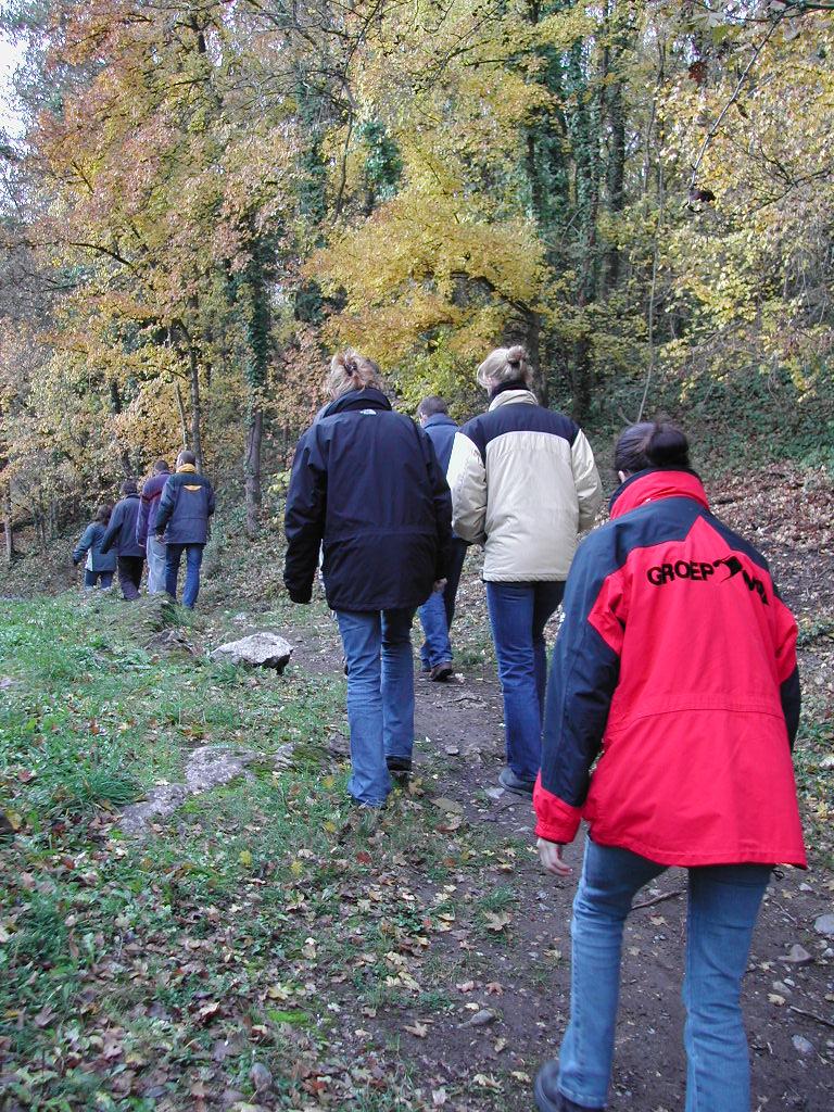 A group of people walks uphill on a forest trail, wearing jackets and jeans.