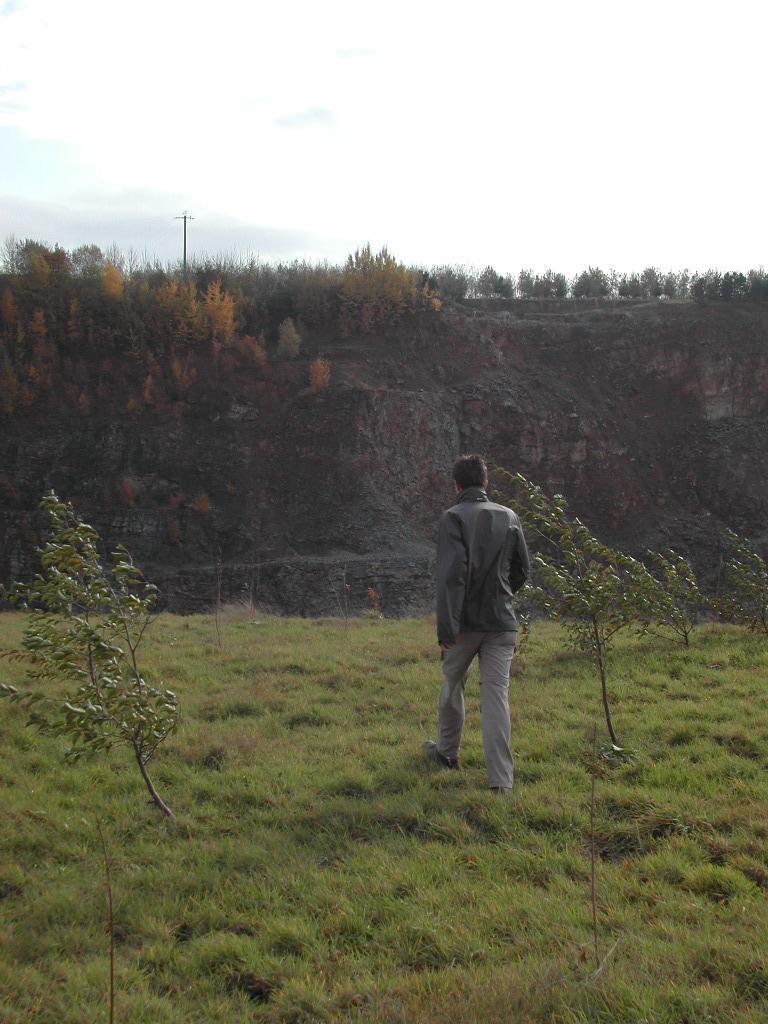 A person in a jacket walks through a grassy field with small trees, facing a steep rocky cliff.