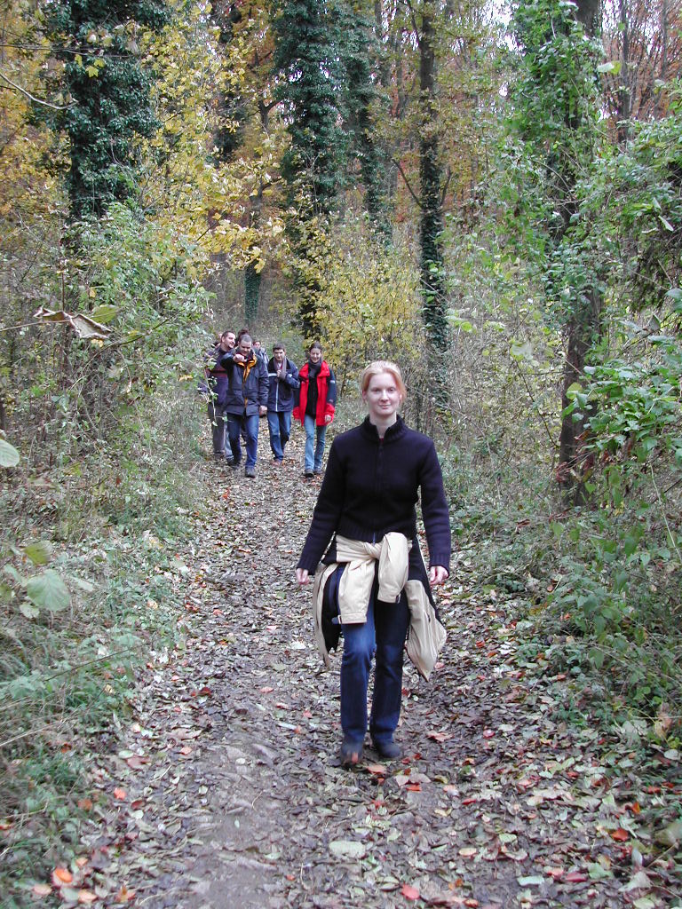 A woman walks along a forest path, followed by a group of people dressed in jackets.