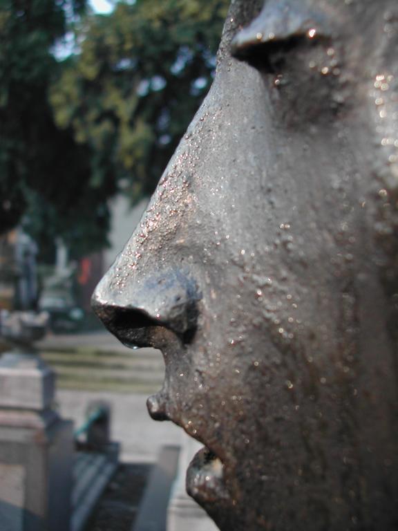 Close-up of a weathered metal statue's face in profile, with a blurred background of trees and stone structures.