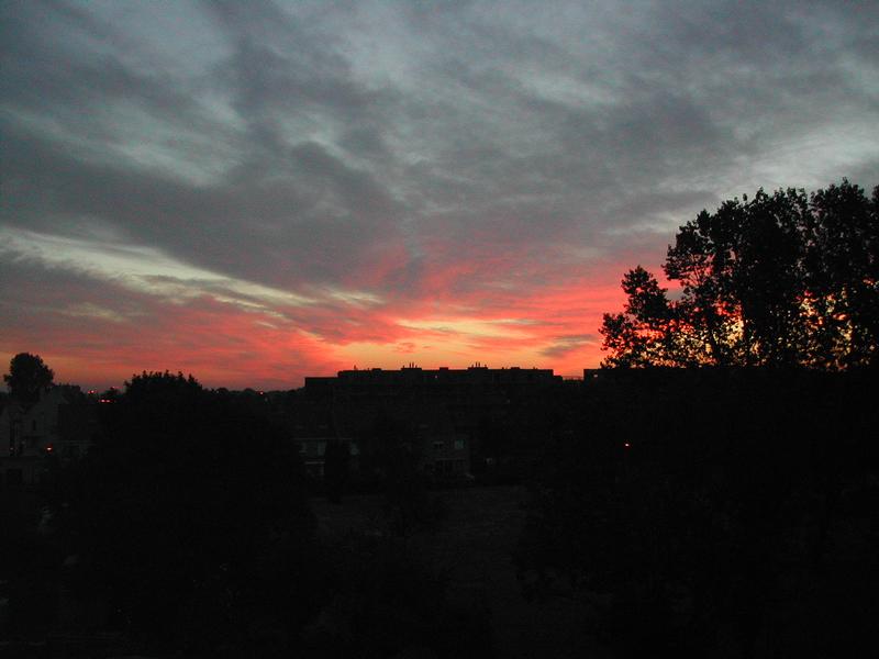 A view of an apartment complex at sunset, with dark silhouettes of trees and buildings against a colorful sky.