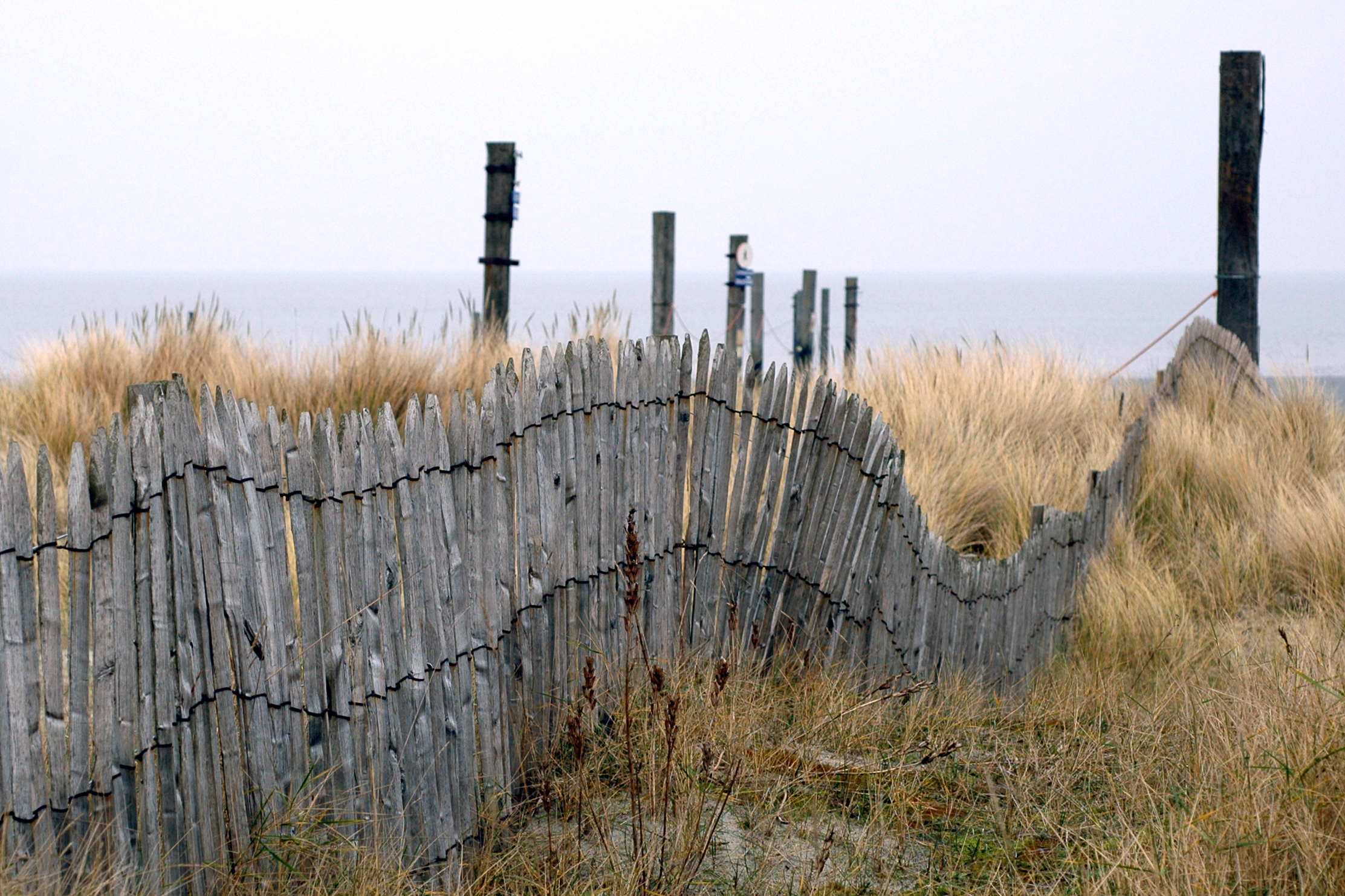 A weathered wooden fence curves through tall beach grass with wooden posts and the ocean in the background.