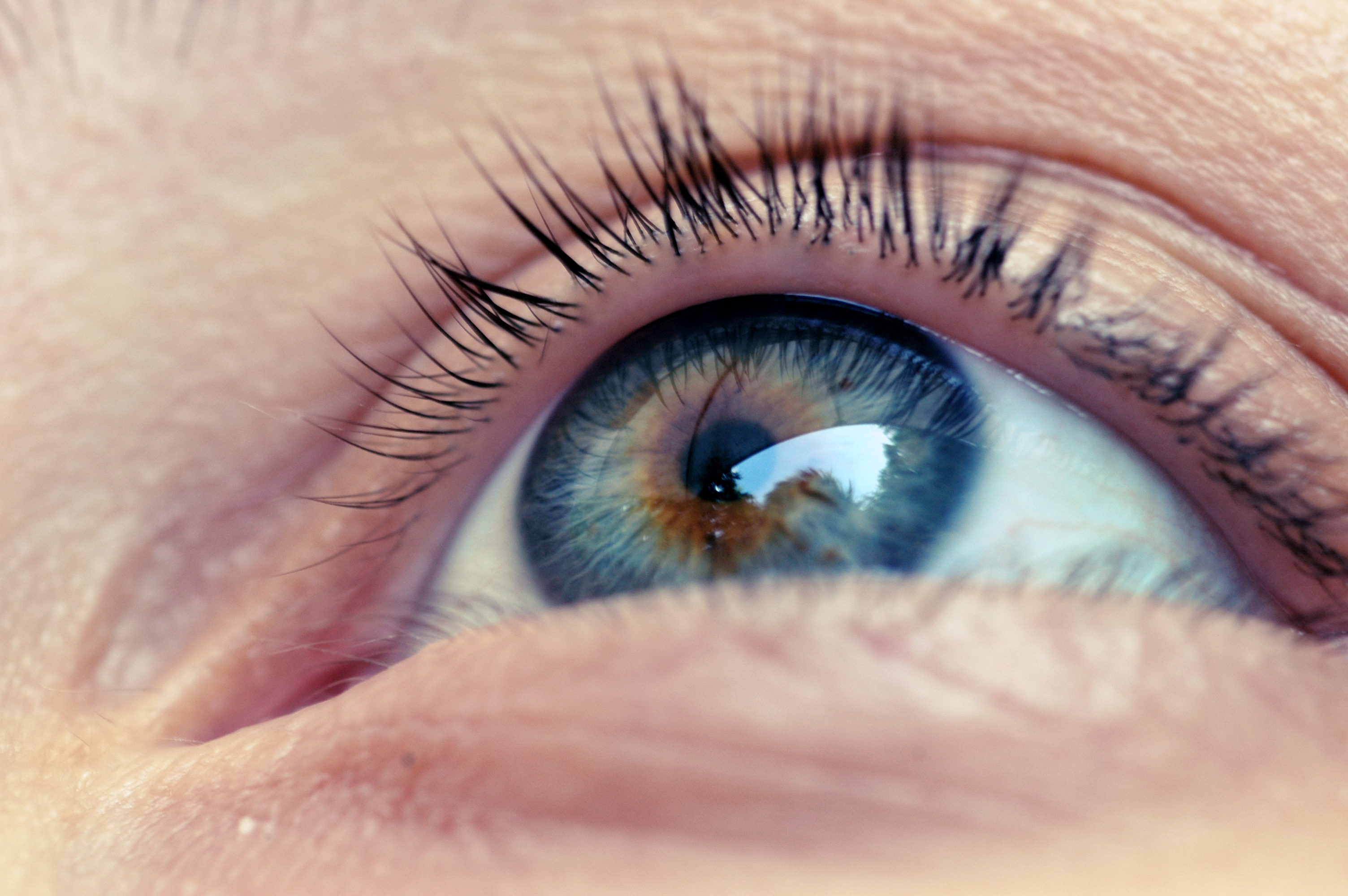 Close-up of a human eye with long eyelashes, reflecting light and surroundings in the iris.