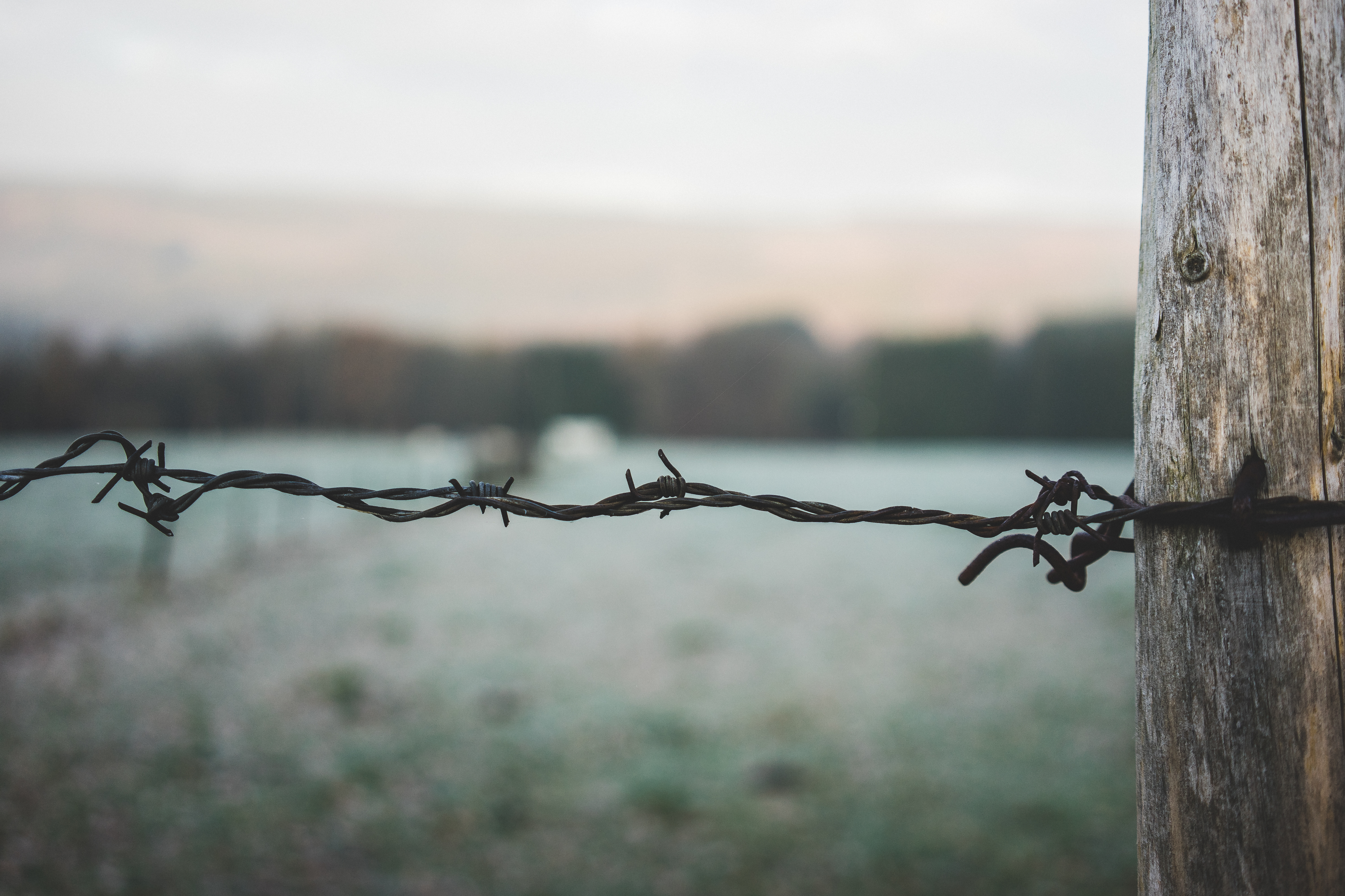 A close-up of barbed wire wrapped around a wooden post, stretching across a blurred outdoor landscape.
