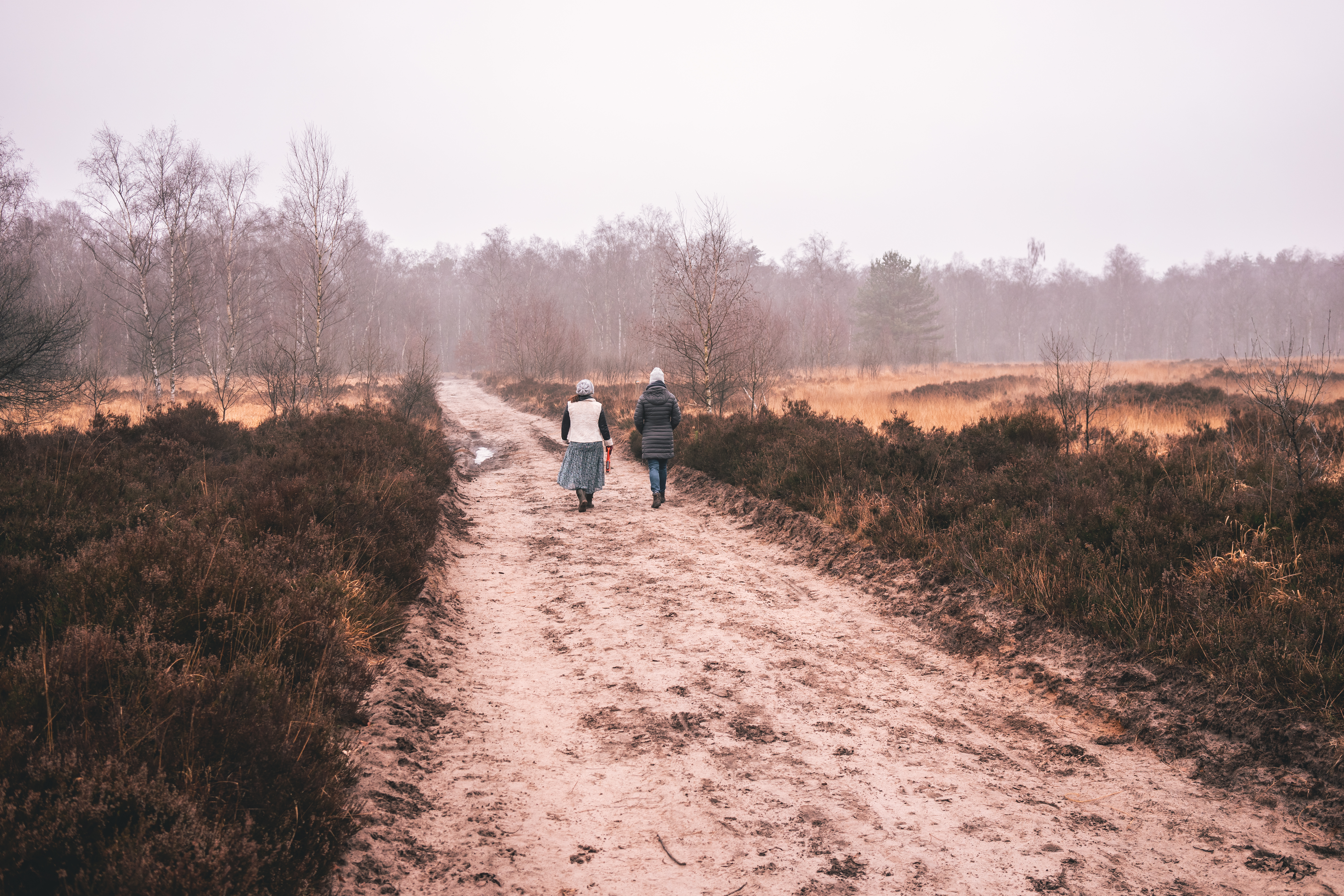 Two people walk side by side on a dirt path through a foggy, open landscape with bare trees.