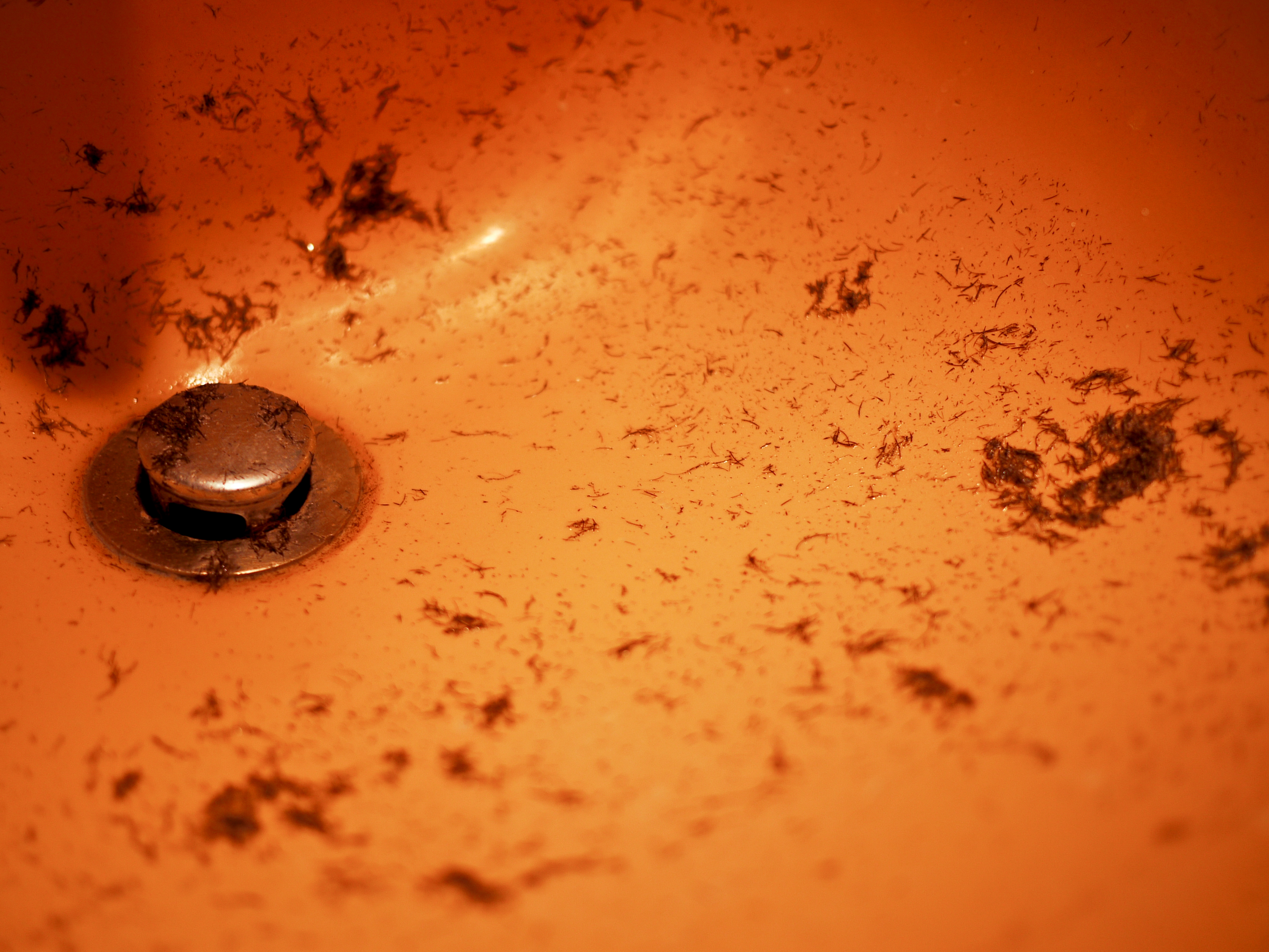 A bathroom sink with freshly shaved facial hair clippings scattered around the drain.