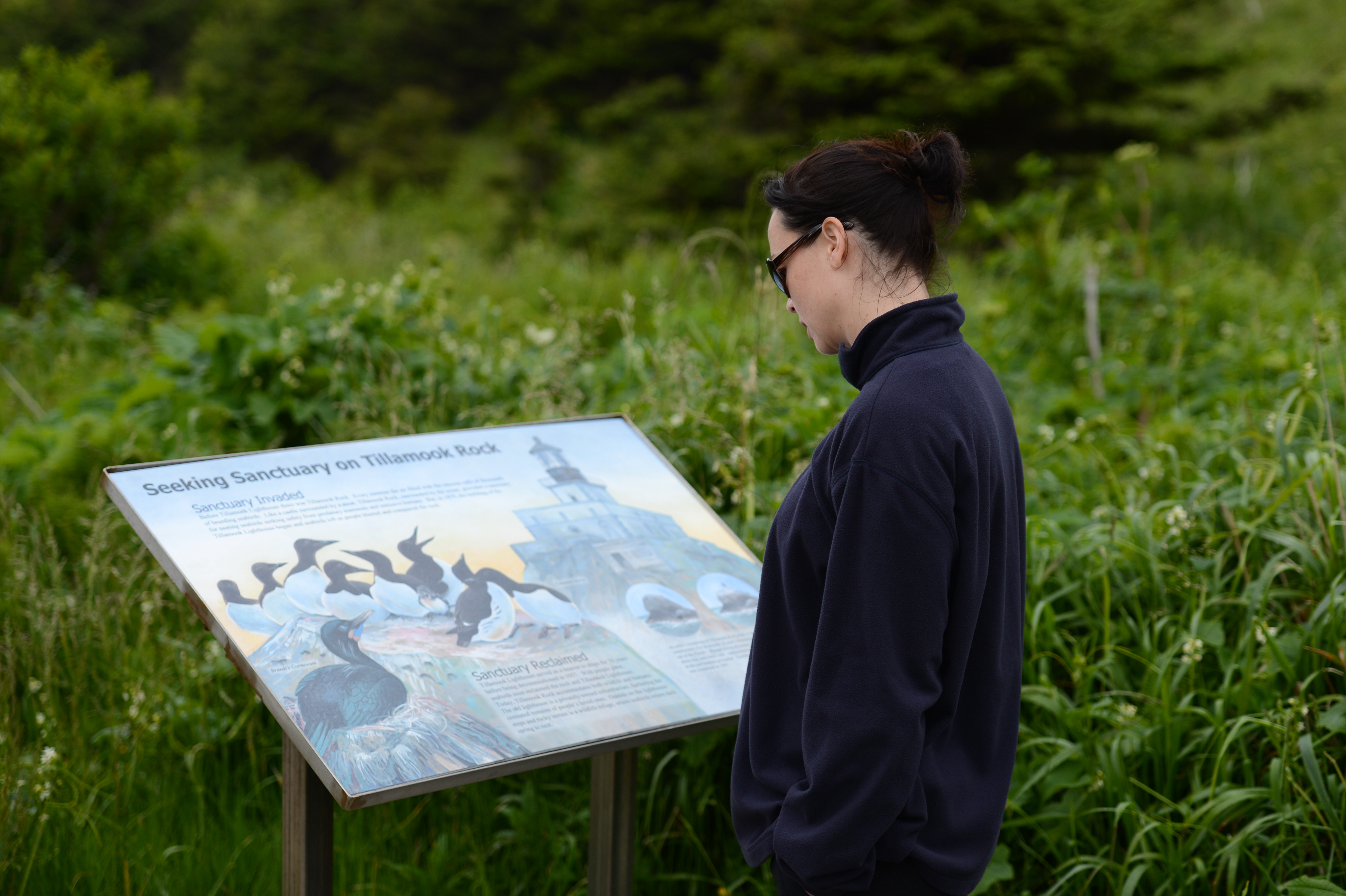 A person wearing a dark jacket and sunglasses reads an informational sign about Tillamook Rock in a grassy area.