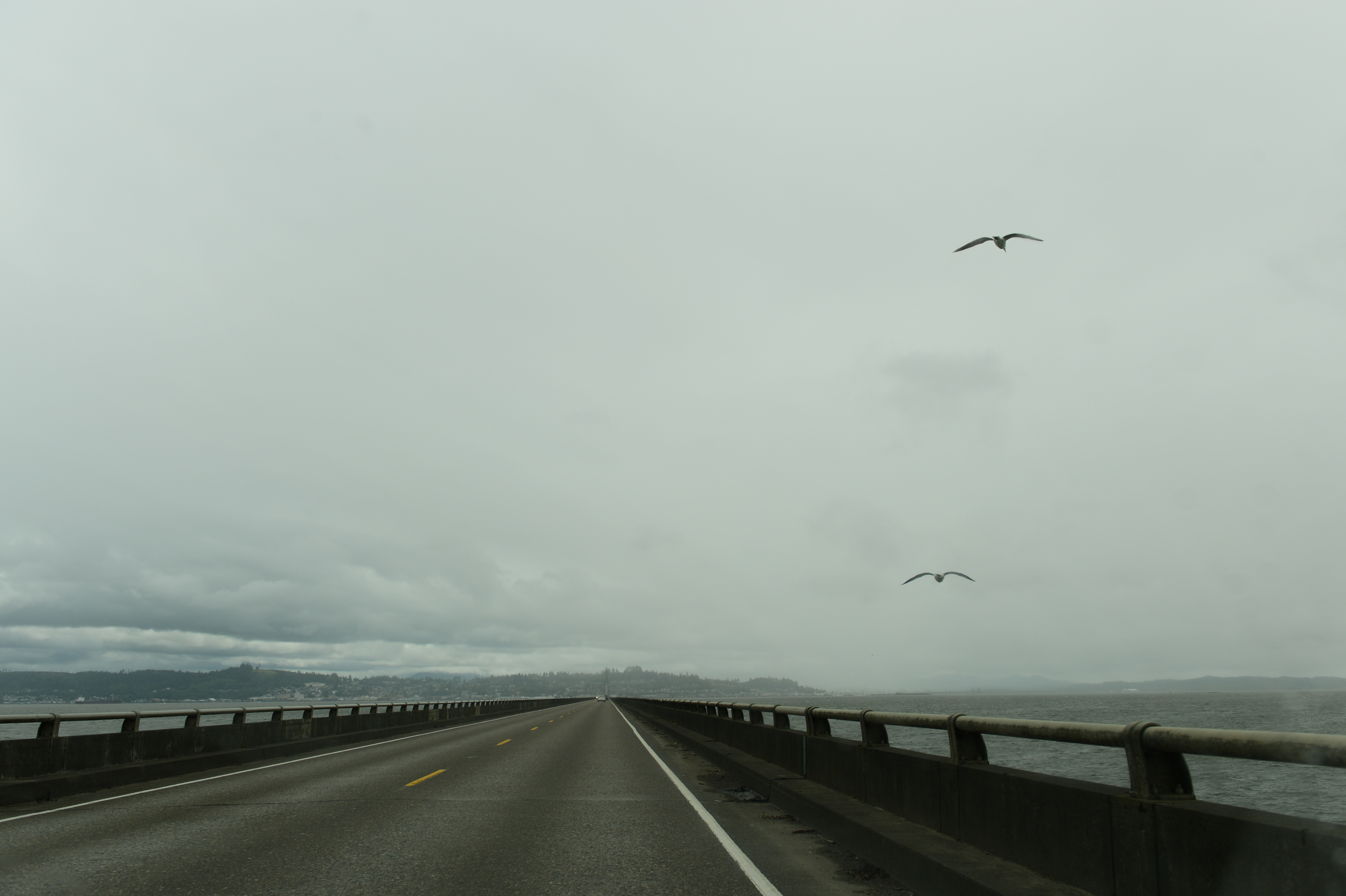 A long bridge stretches over the water under a cloudy sky, with two birds flying above.