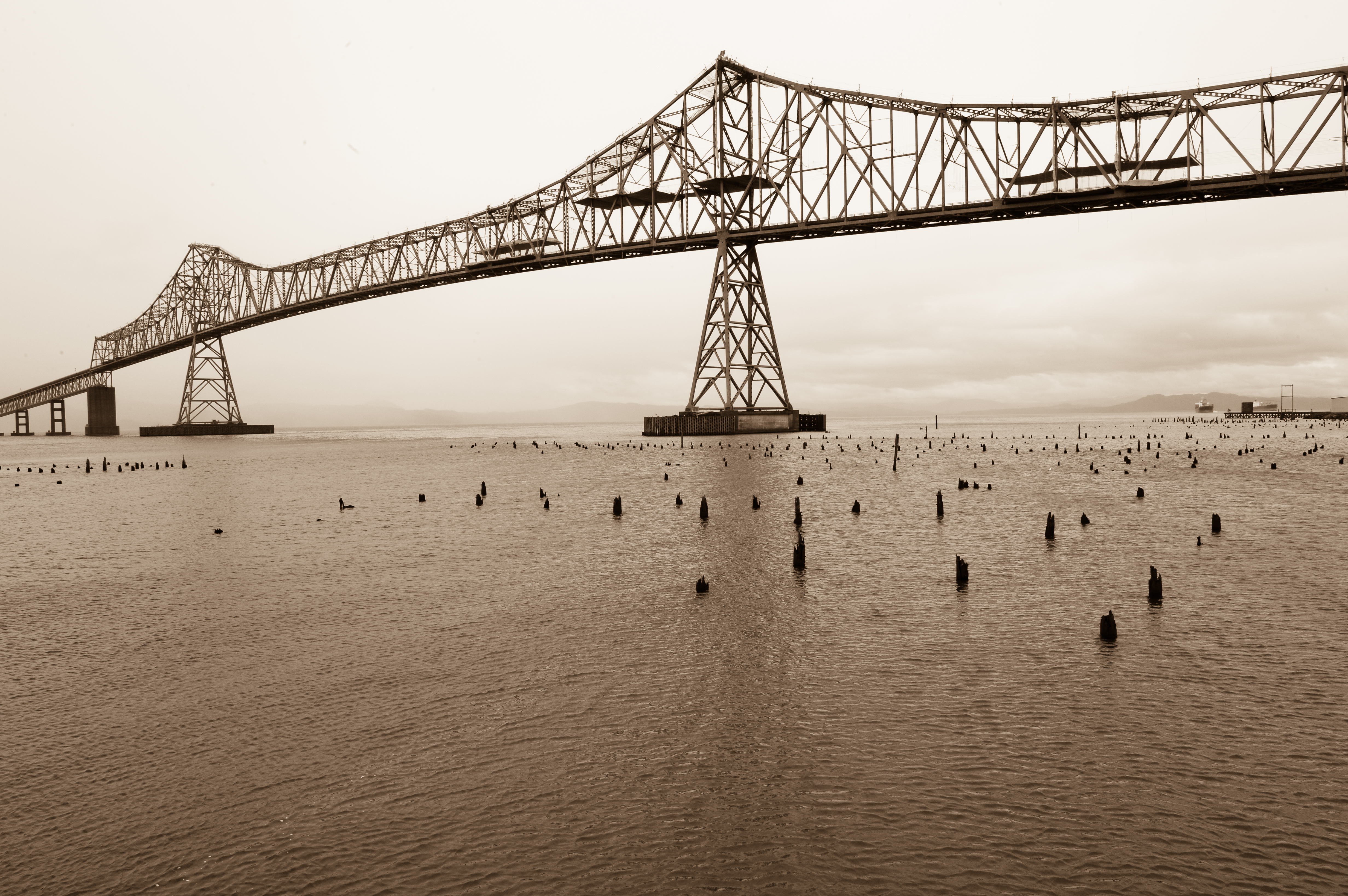 A large steel bridge spans across a body of water with wooden pilings sticking out of the surface.