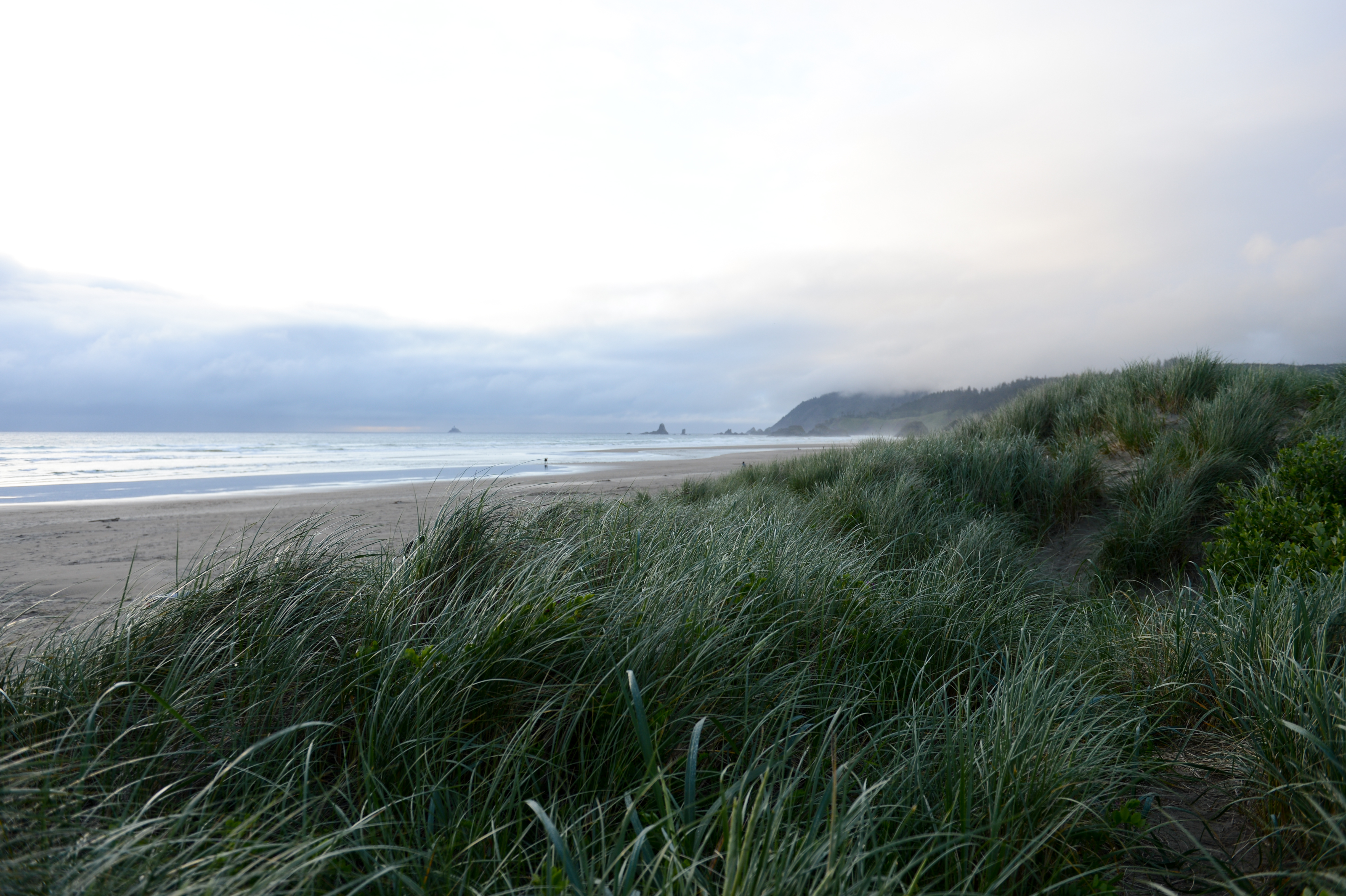 A sandy beach with ocean waves, grassy dunes in the foreground, and distant rock formations under a cloudy sky.