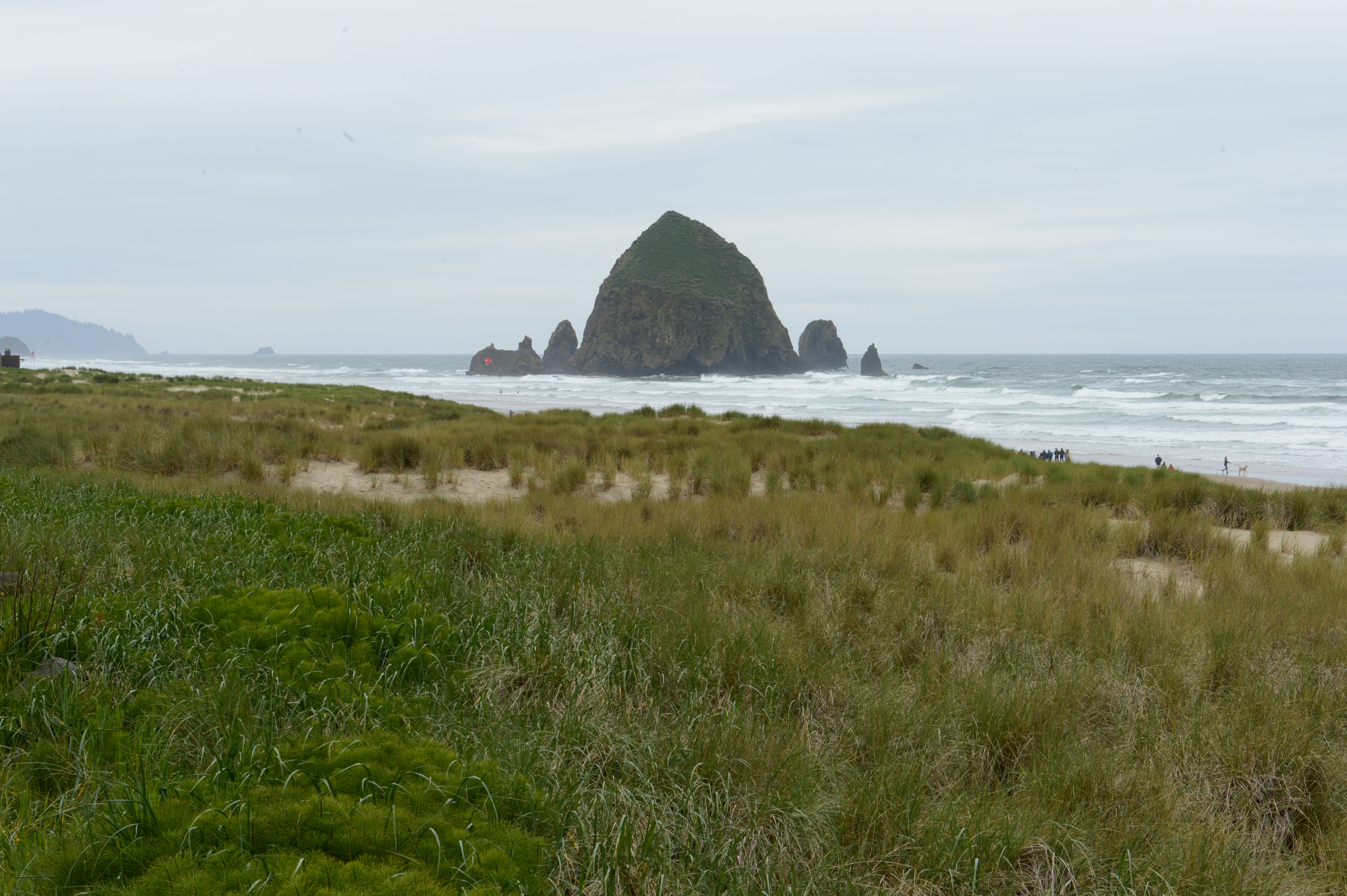 A large rock formation rises from the ocean near a sandy beach with grassy dunes and scattered visitors.