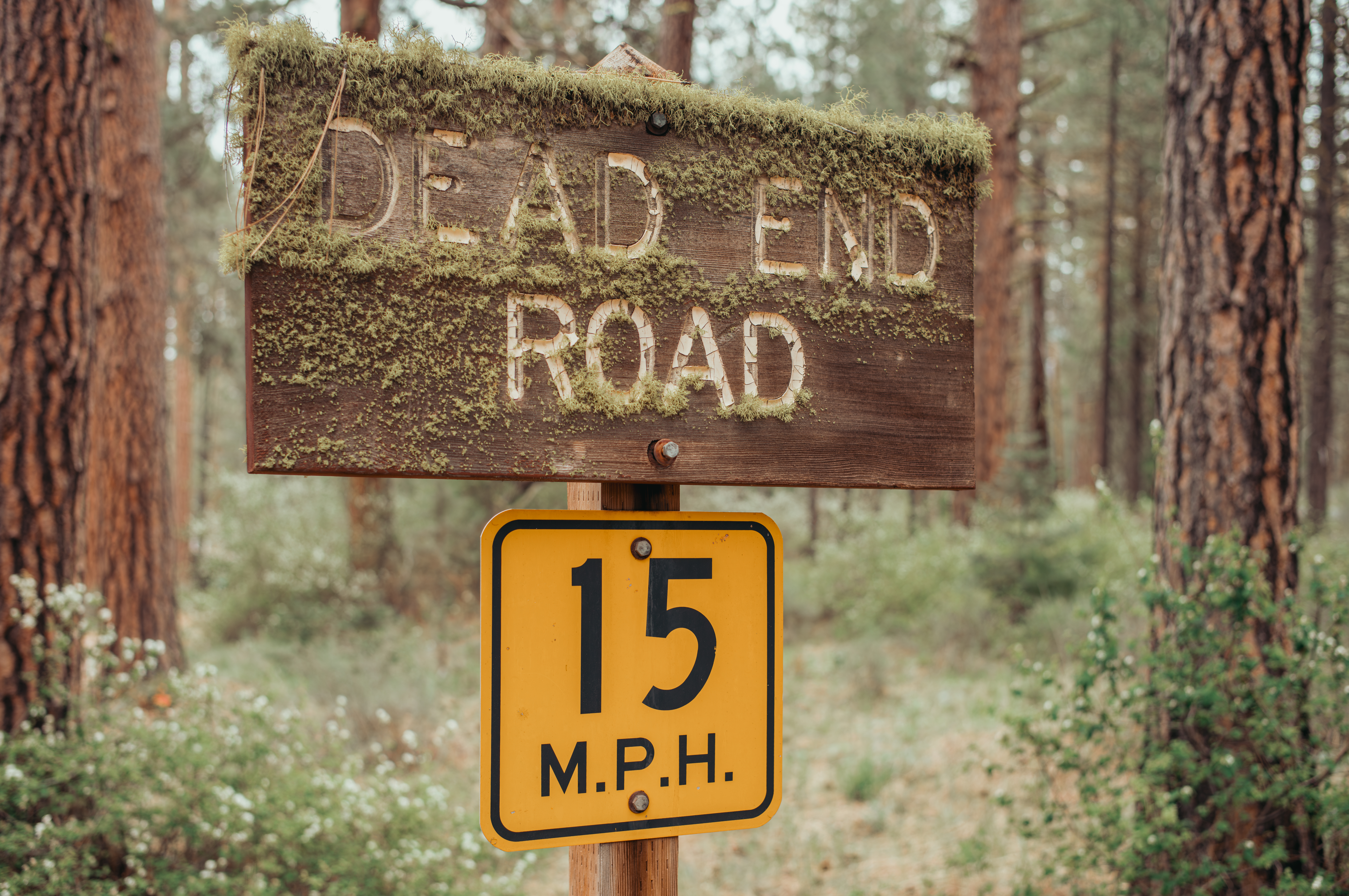 Wooden "Dead End Road" sign covered in moss, with a yellow 15 MPH speed limit sign below.