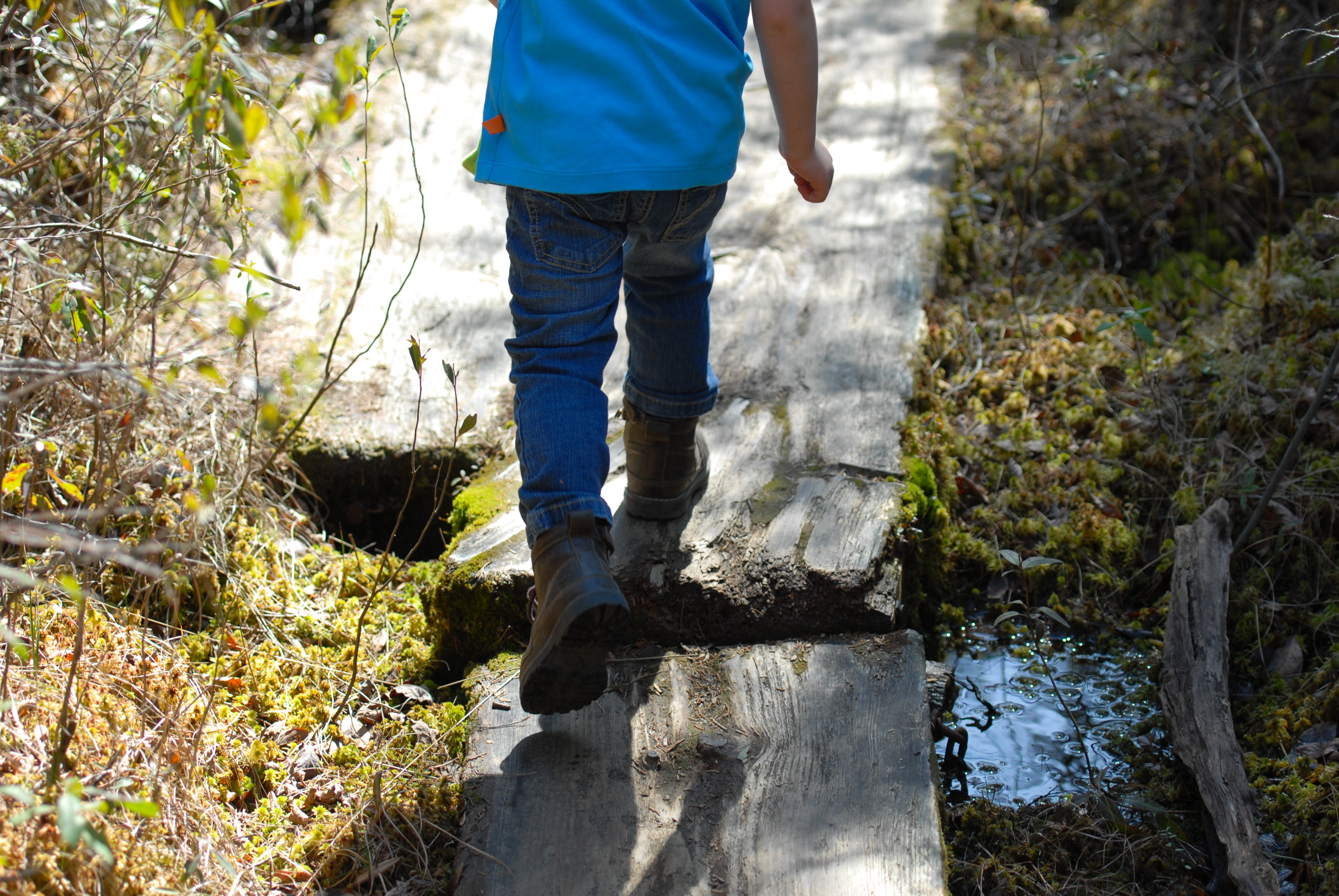 A child wearing jeans and boots walks on a wooden boardwalk over a small wet area on a forest trail.