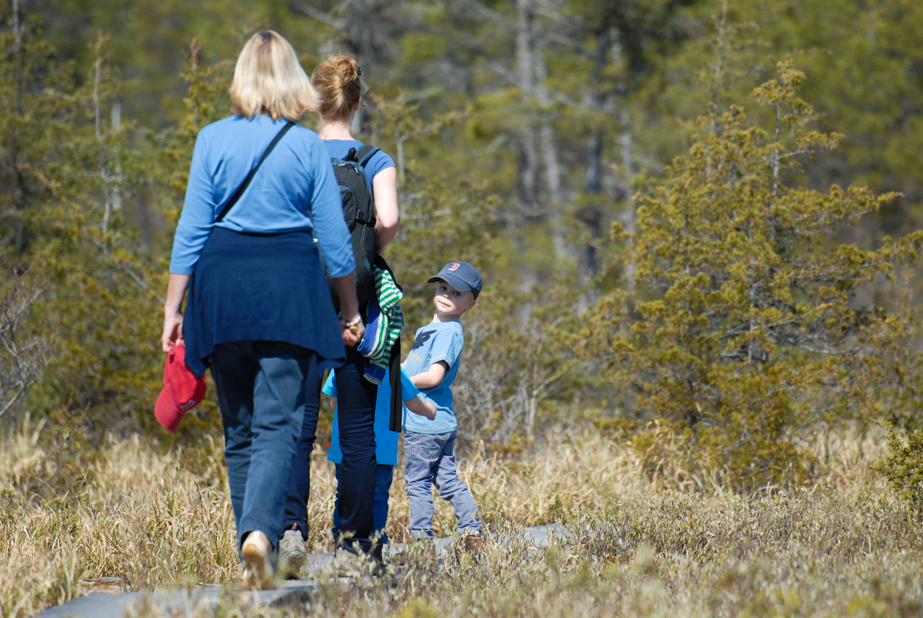 A group of three people, including a child, walking along a narrow trail surrounded by trees and grass.