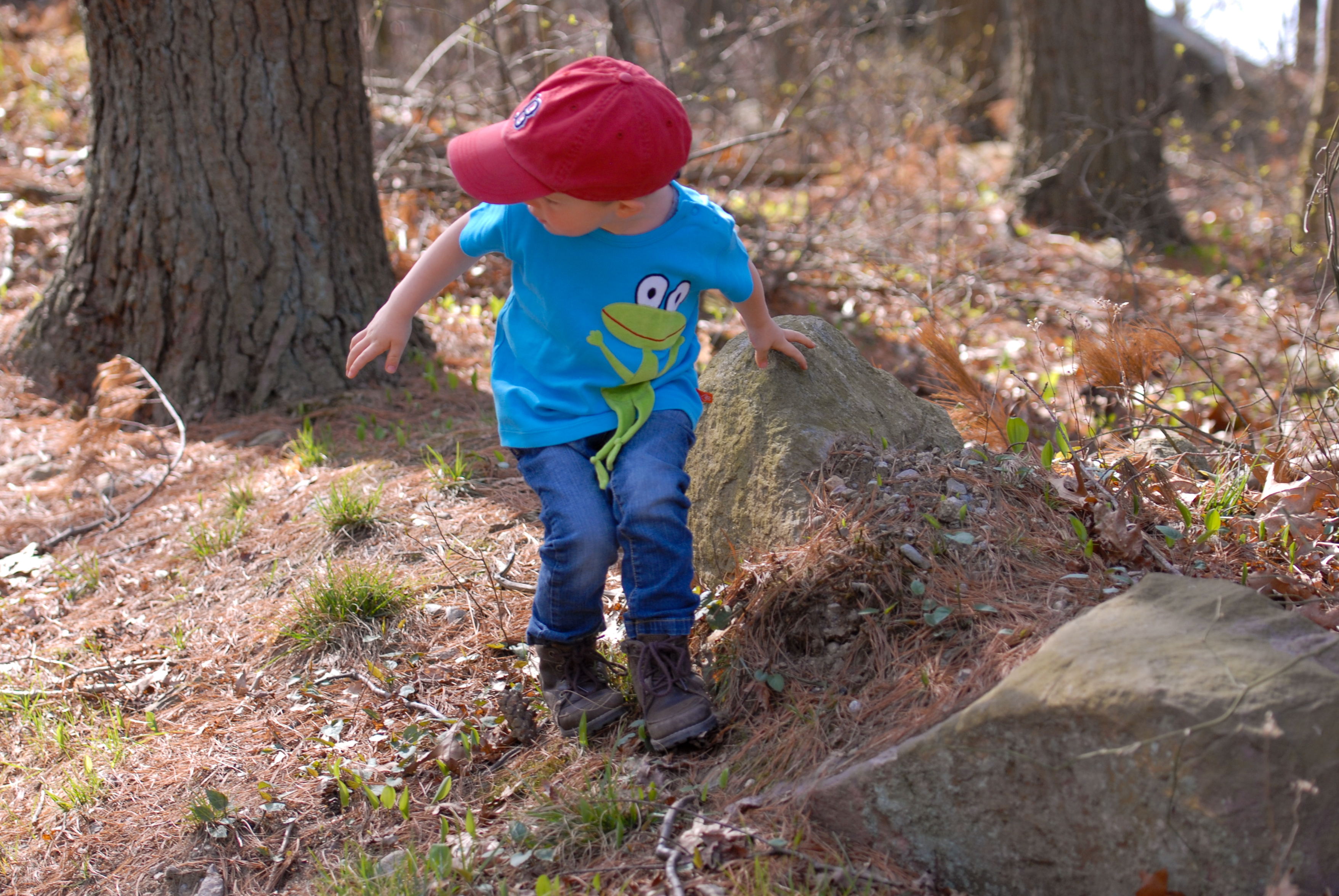 A child in a red cap and blue shirt steps carefully over rocks on a forest trail.