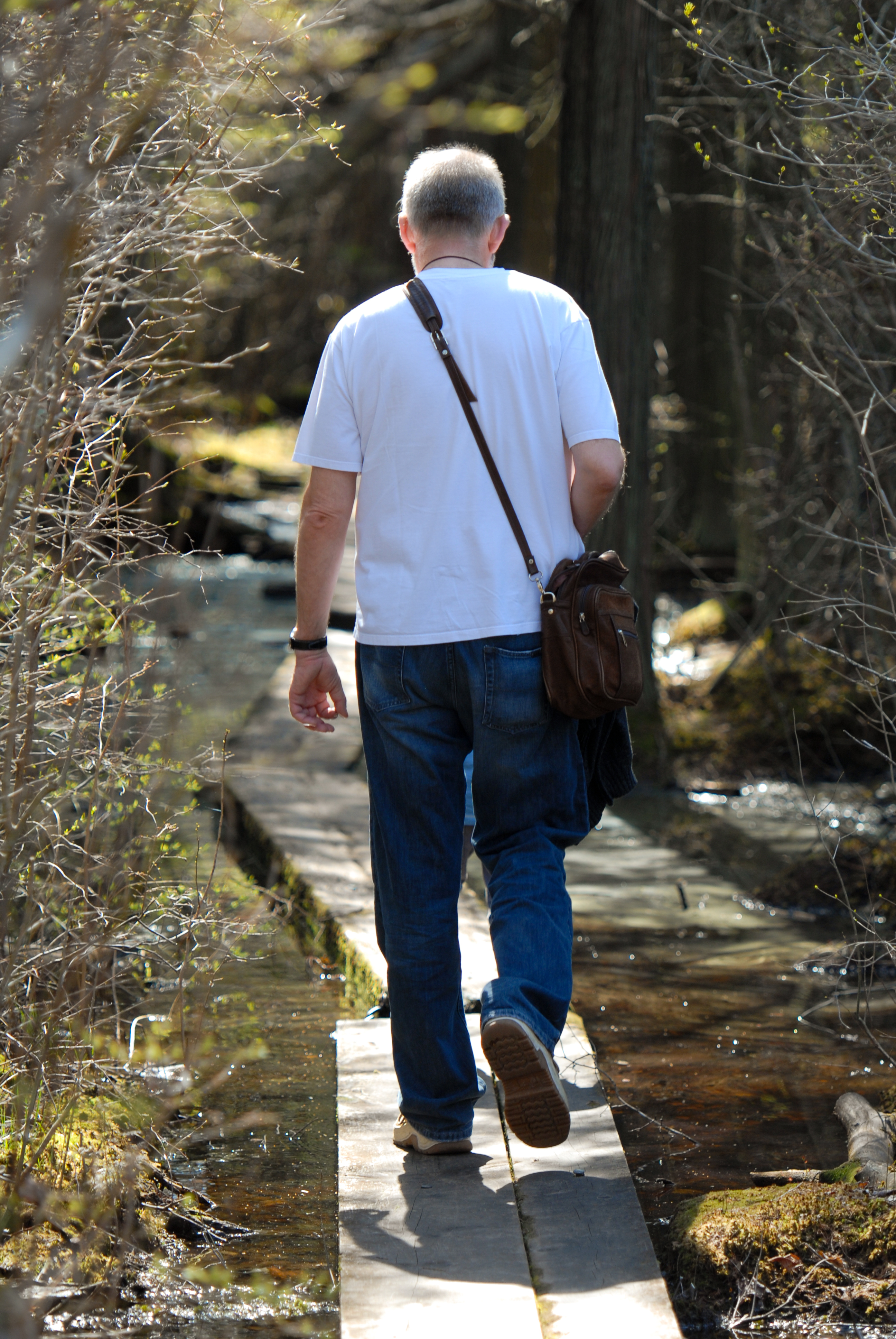 A man wearing a white shirt and jeans walks along a narrow wooden trail over a shallow stream.