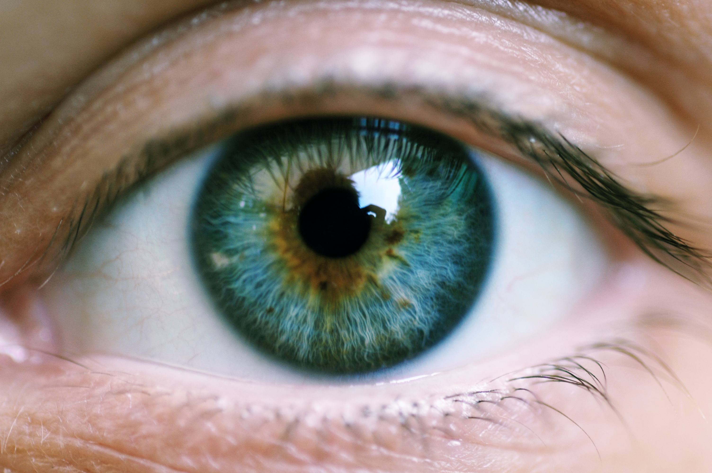 Close-up of a human eye with a green and blue iris, showing detailed eyelashes and reflections in the pupil.