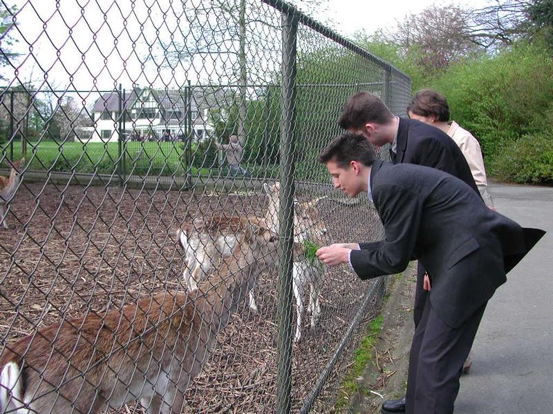 Three people in formal clothing feed deer through a metal fence at an outdoor enclosure.