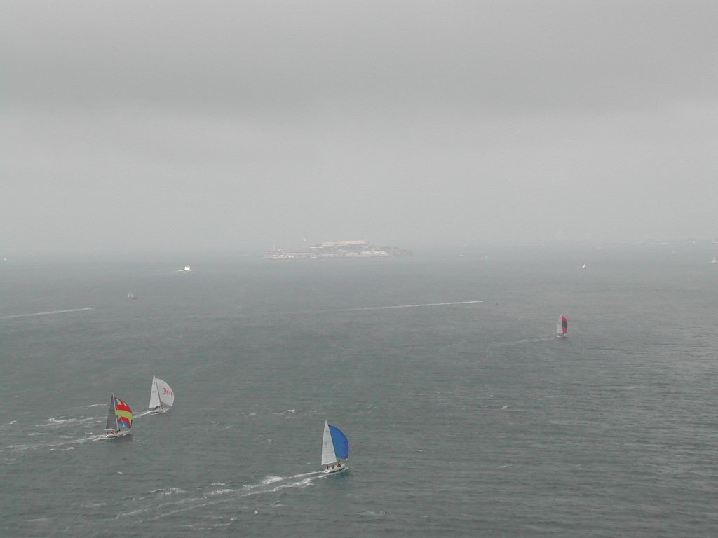 Several sailboats with colorful sails move across the water, with Alcatraz Island visible in the distance under a cloudy sky.