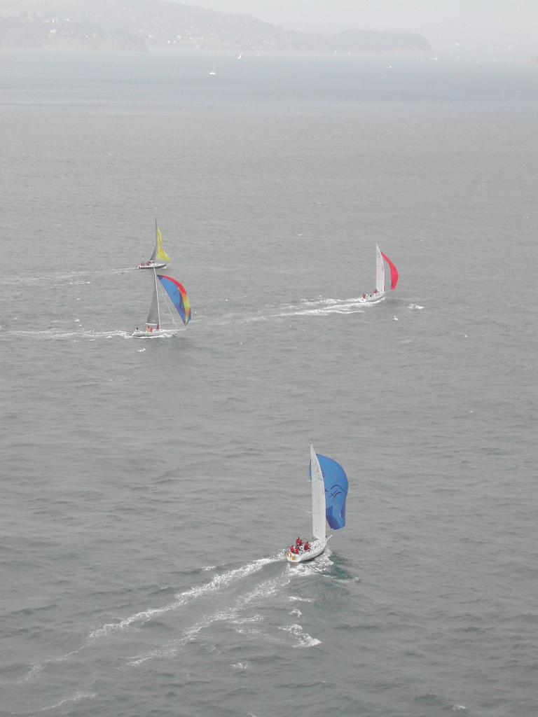 Three sailboats with colorful sails move across the water, leaving white trails behind them.